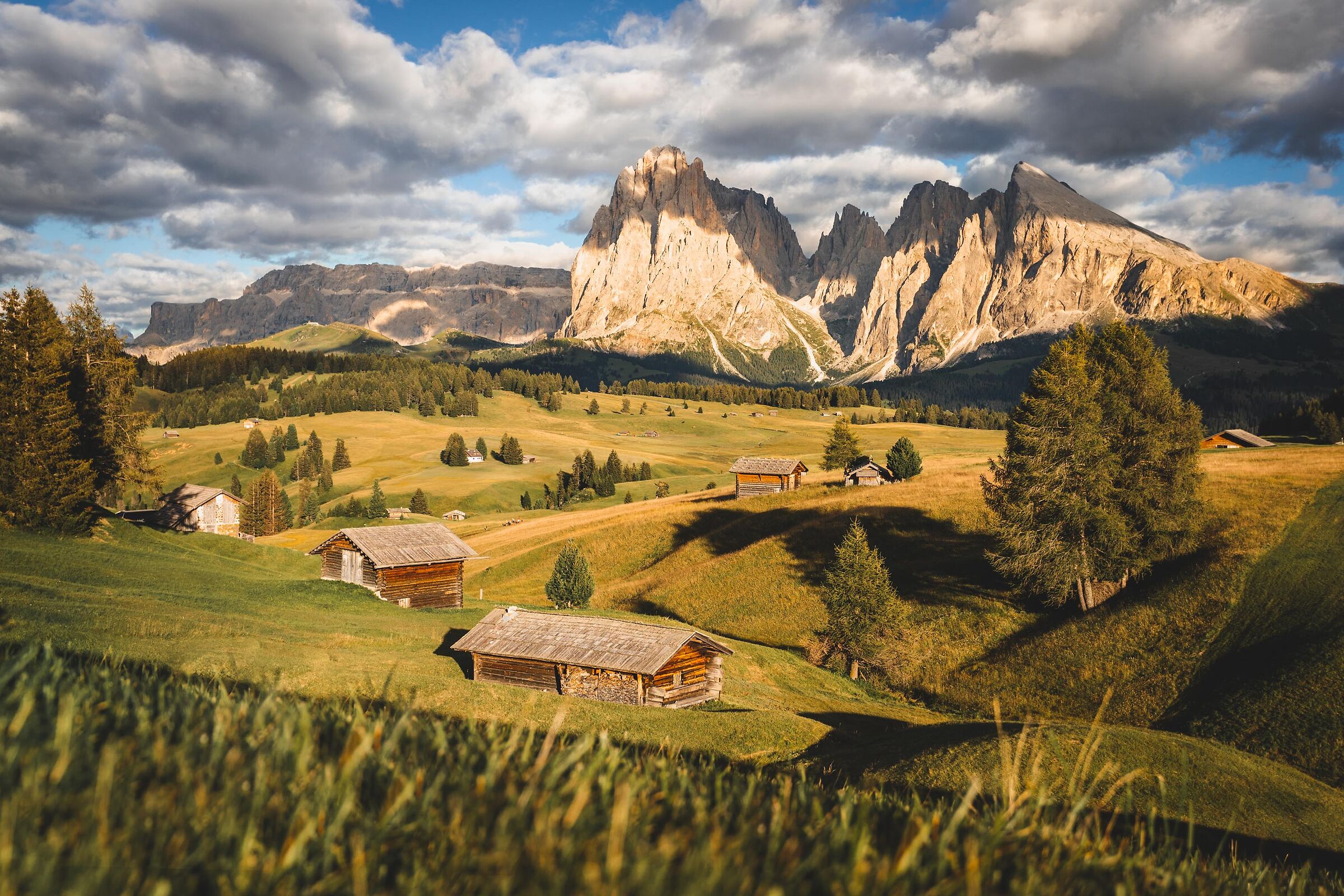 Alp of Siusi