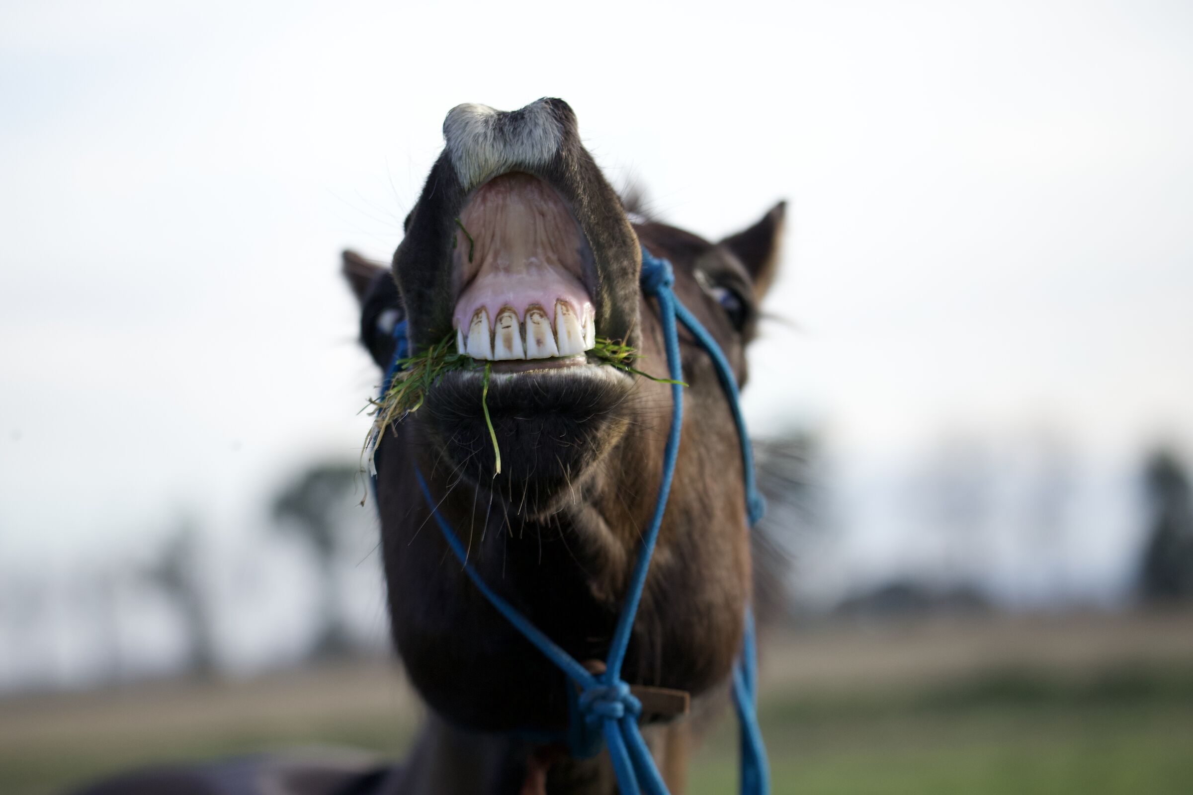 Smile!!