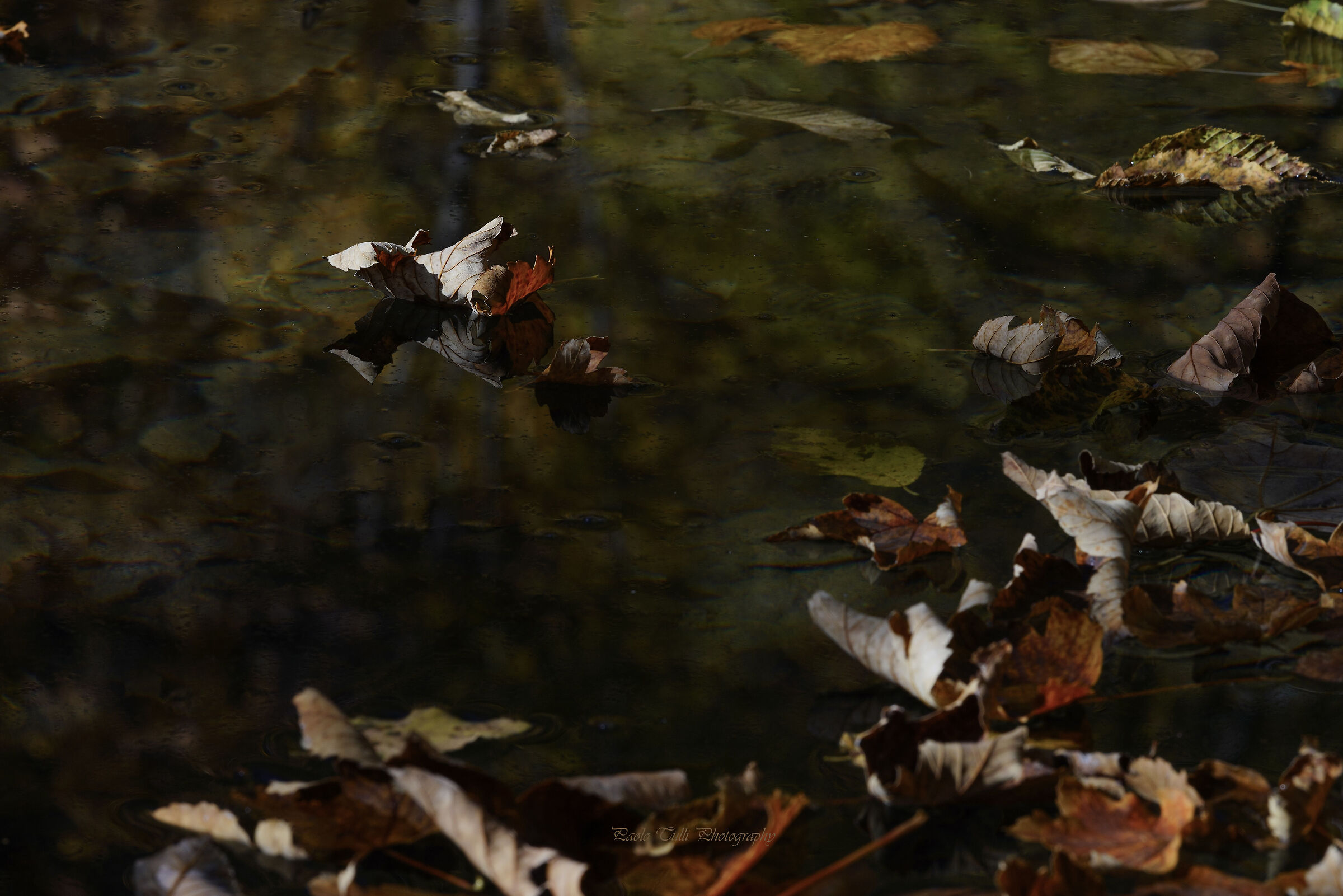 Afloat... in the bottom