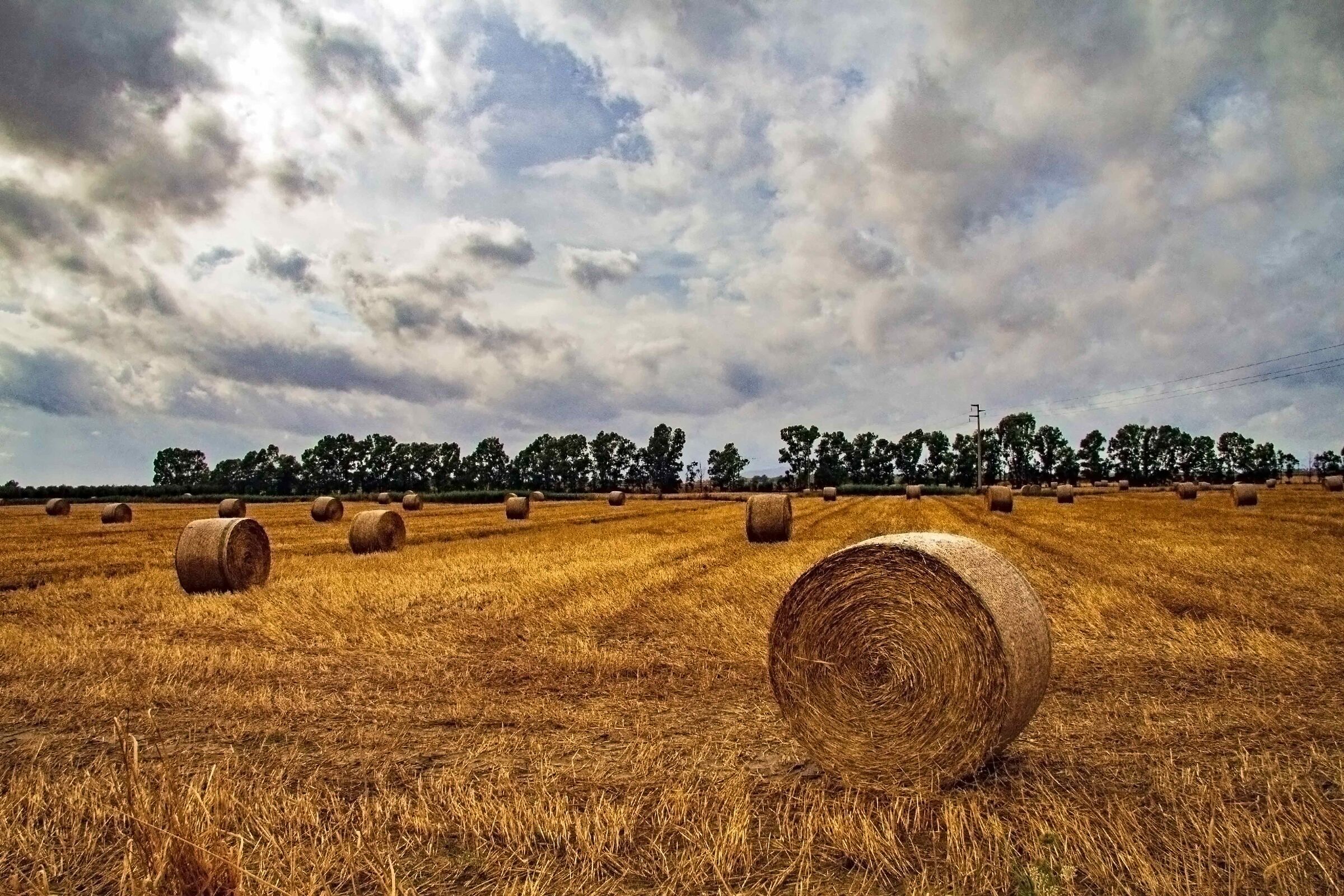 landscape with hay bales