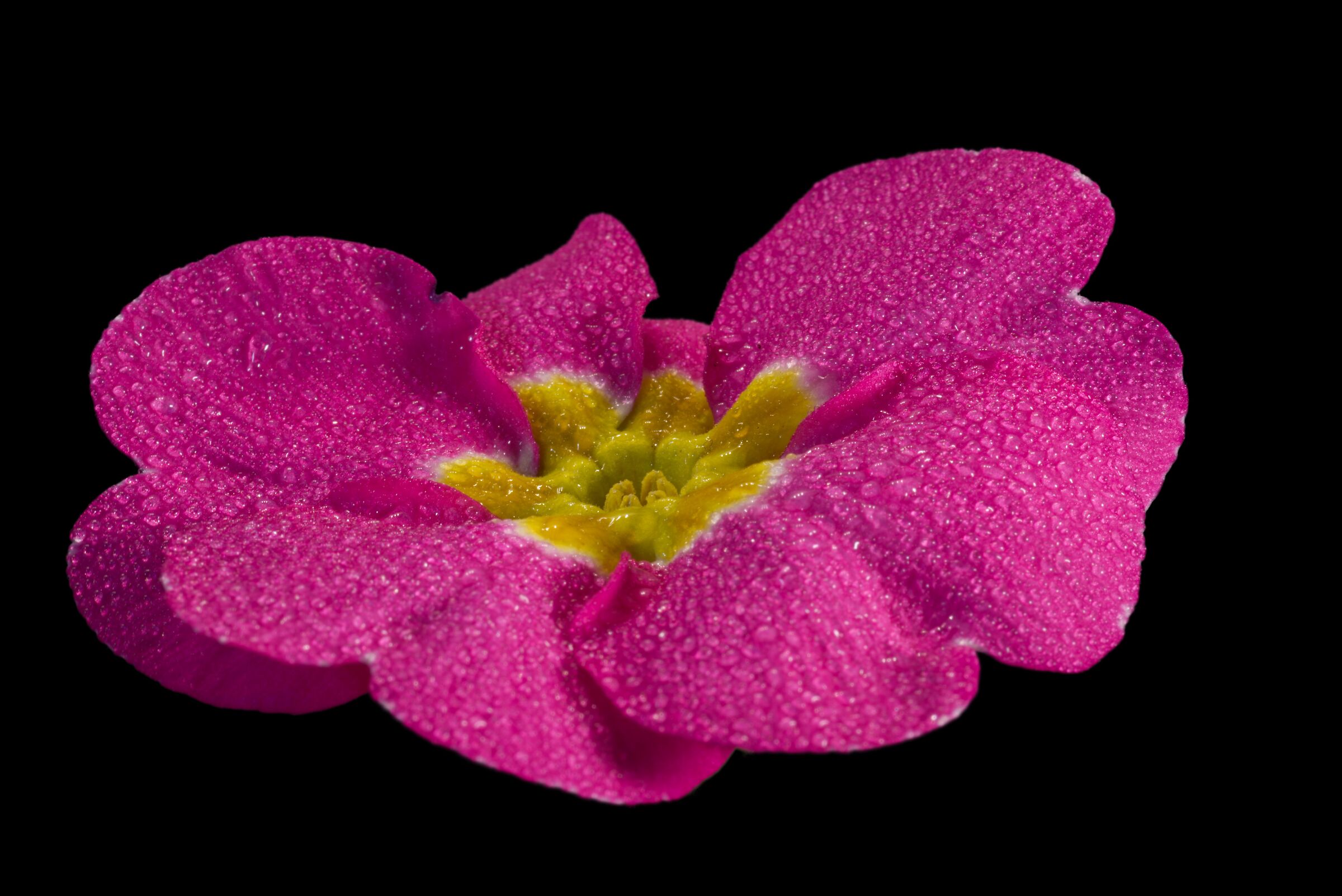 A little color.
