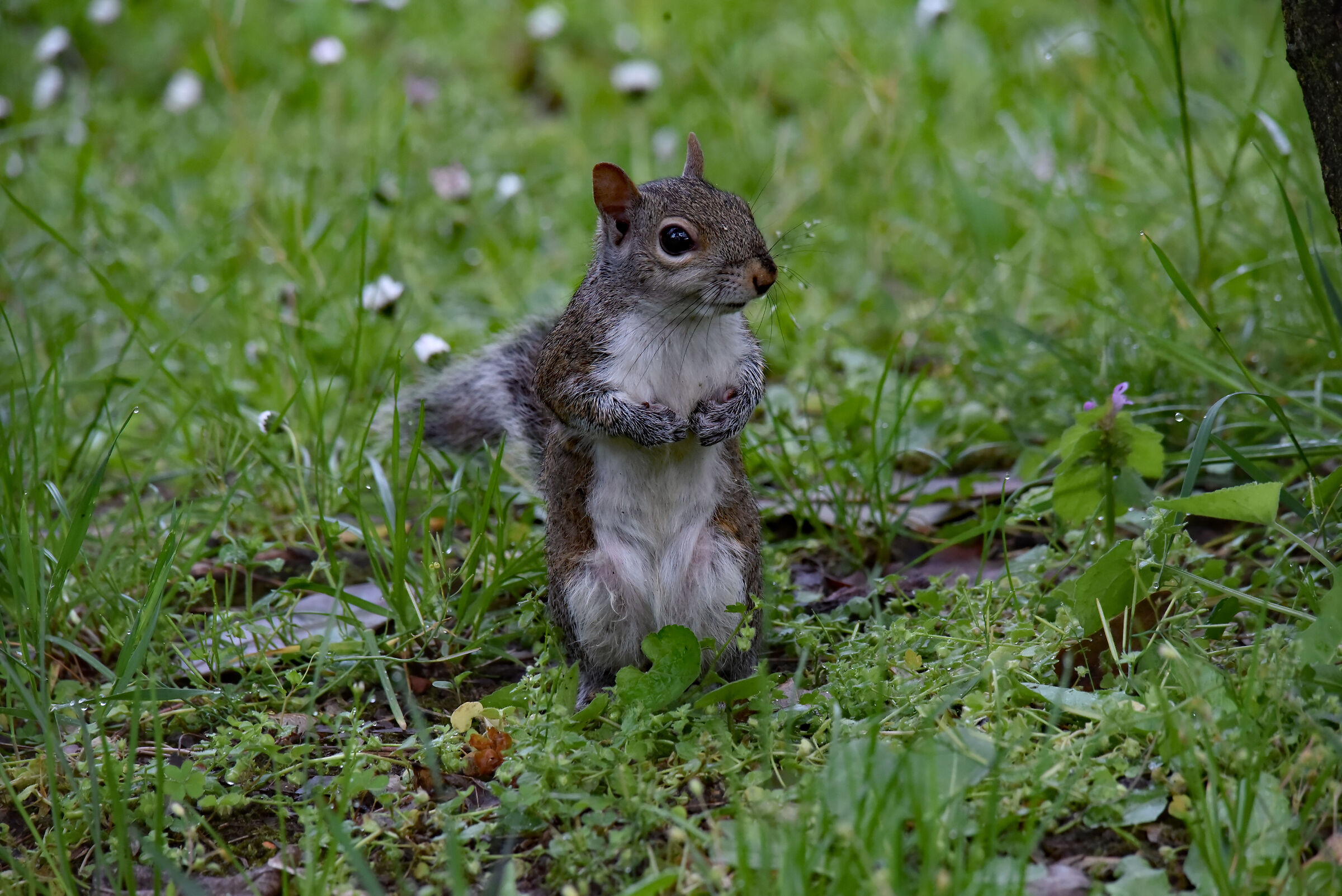 But what do you want