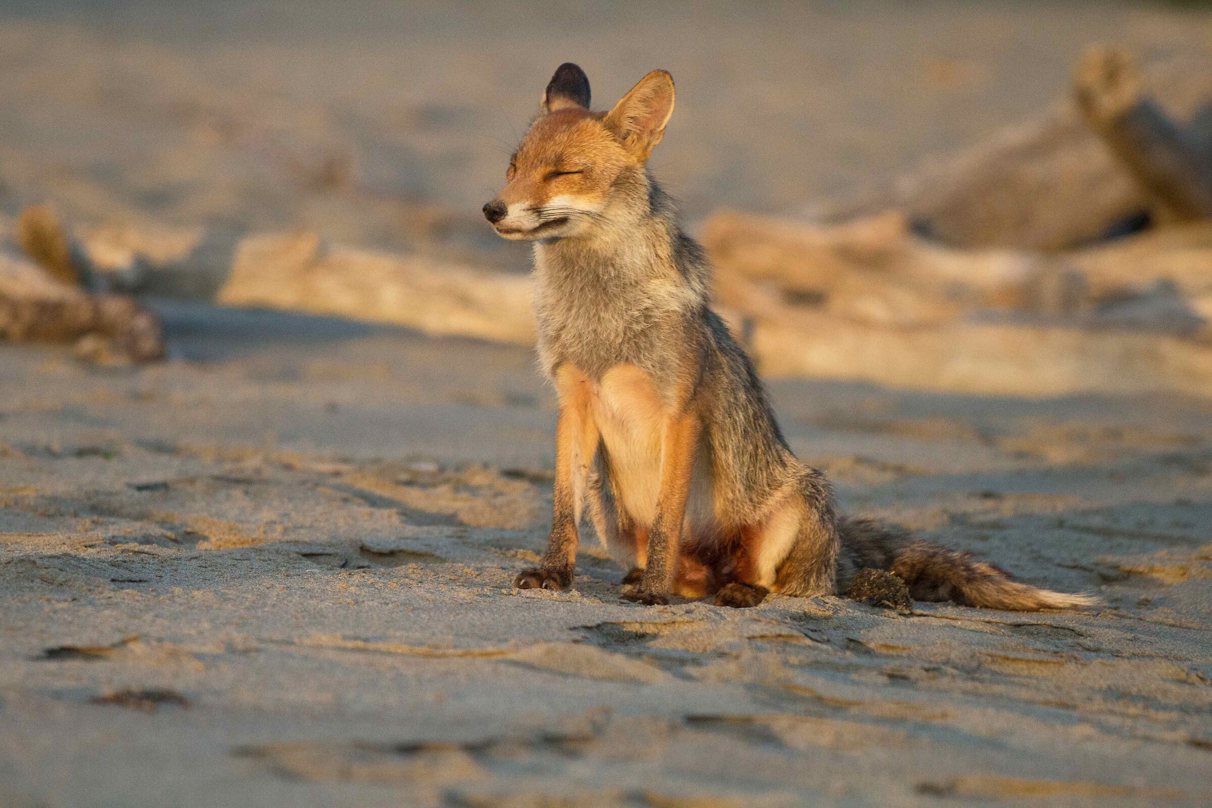 relaxation on the beach