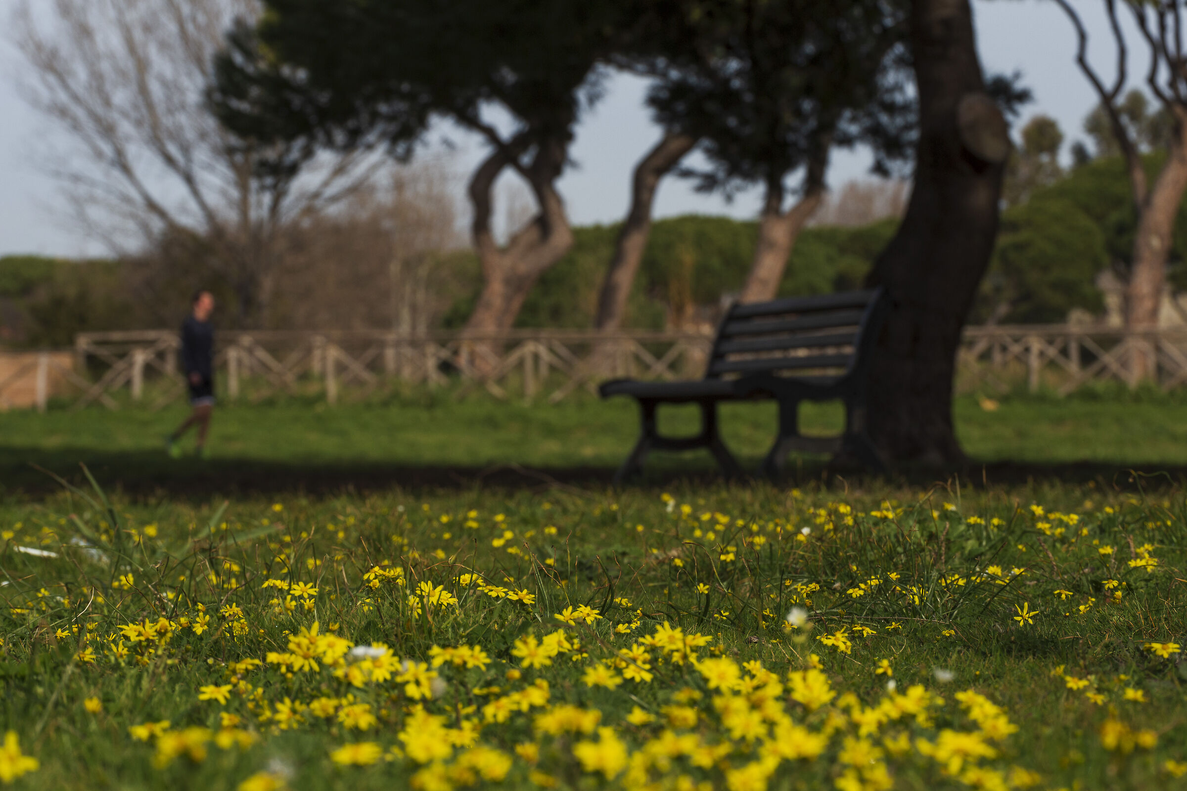 Sprazzi di primavera...