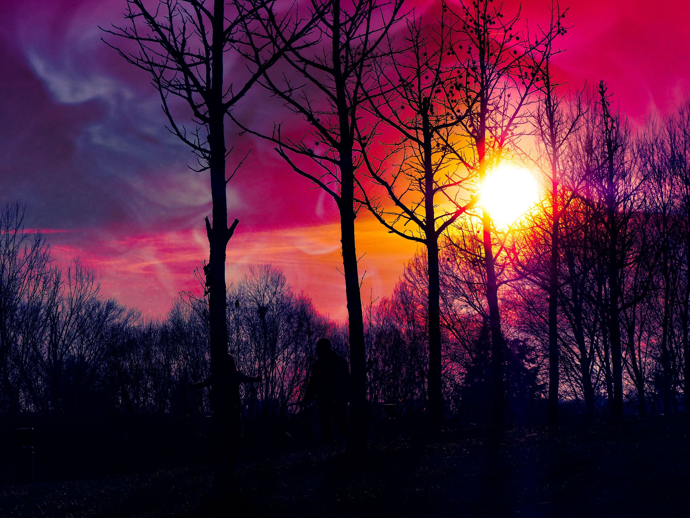 Prima che arrivi la nebbia