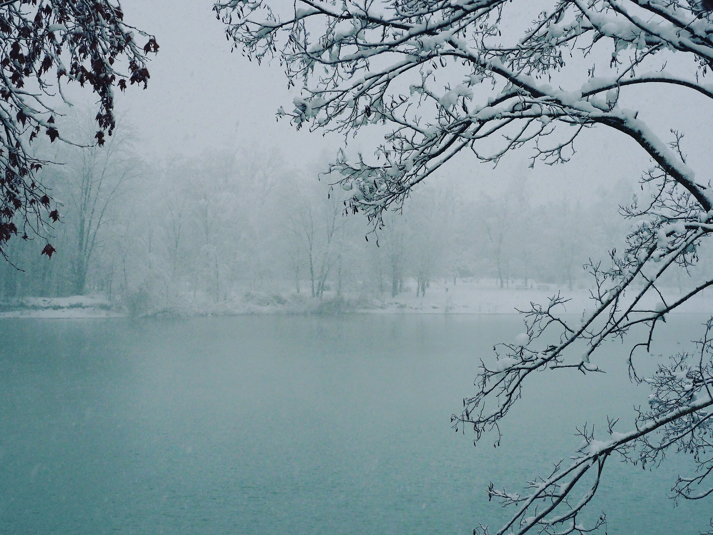 La prima neve dell'anno .