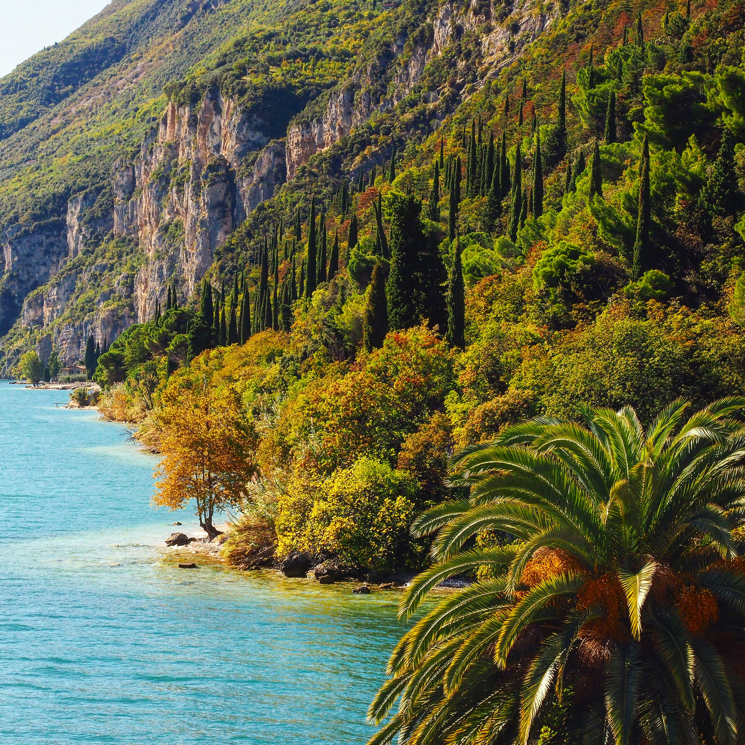 Lago di Garda primi colori autunnali.