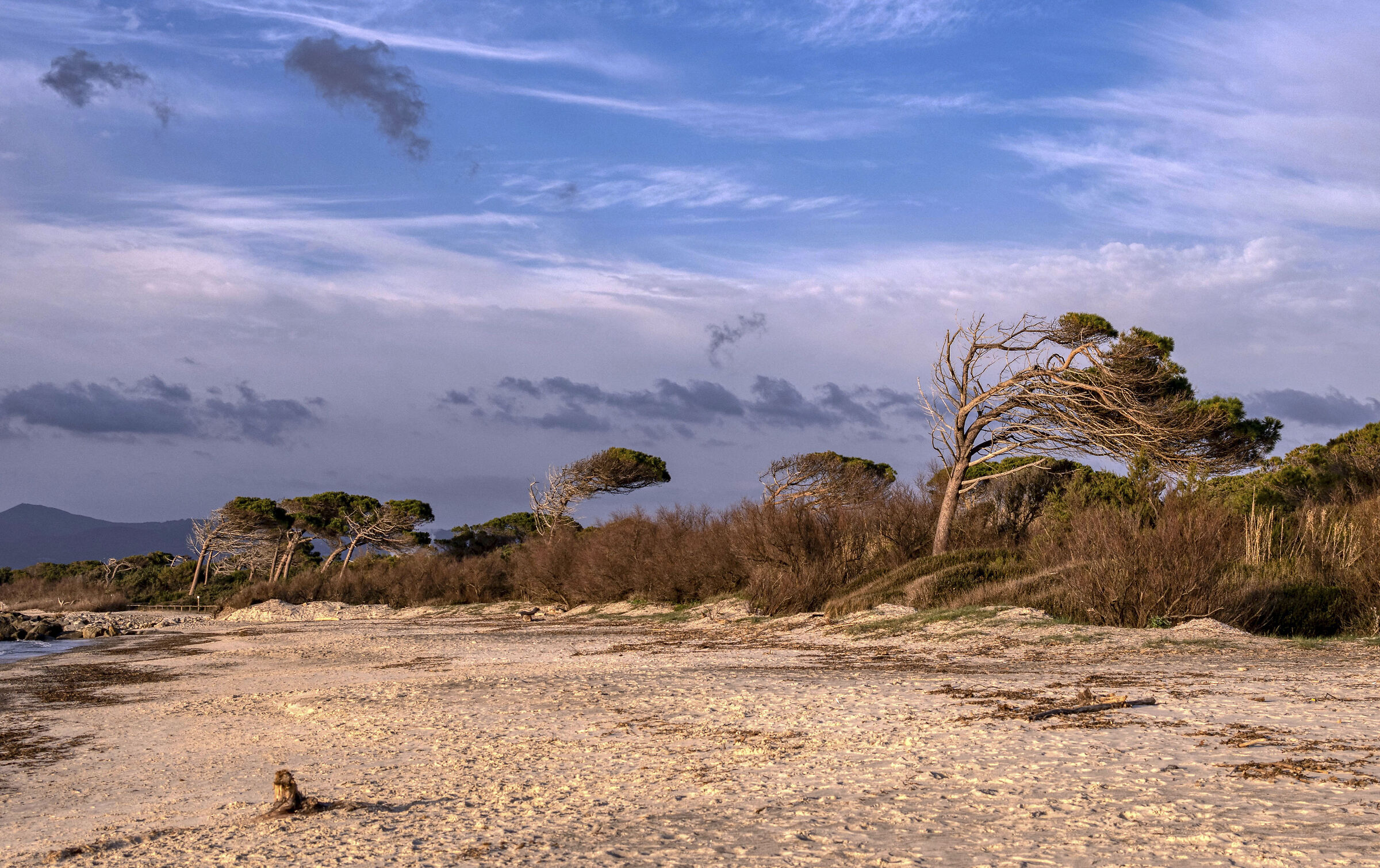 allineamento a destra.