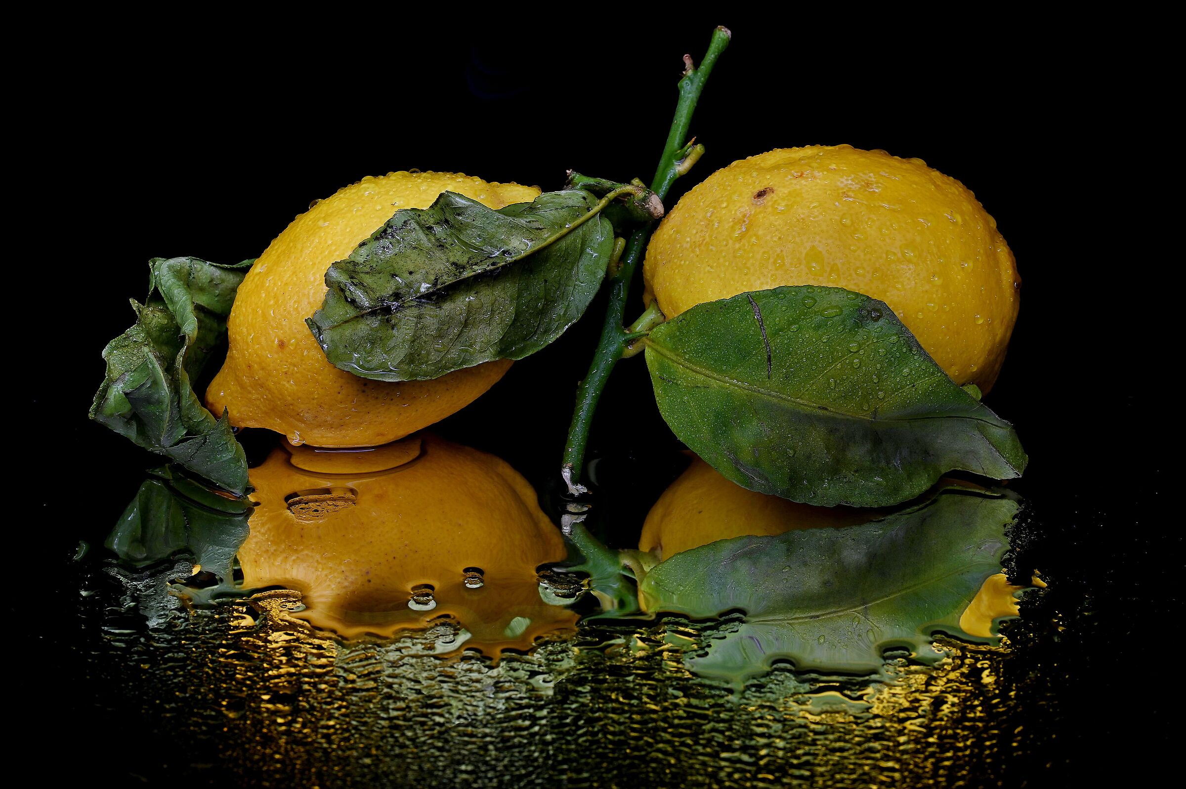 Limoni