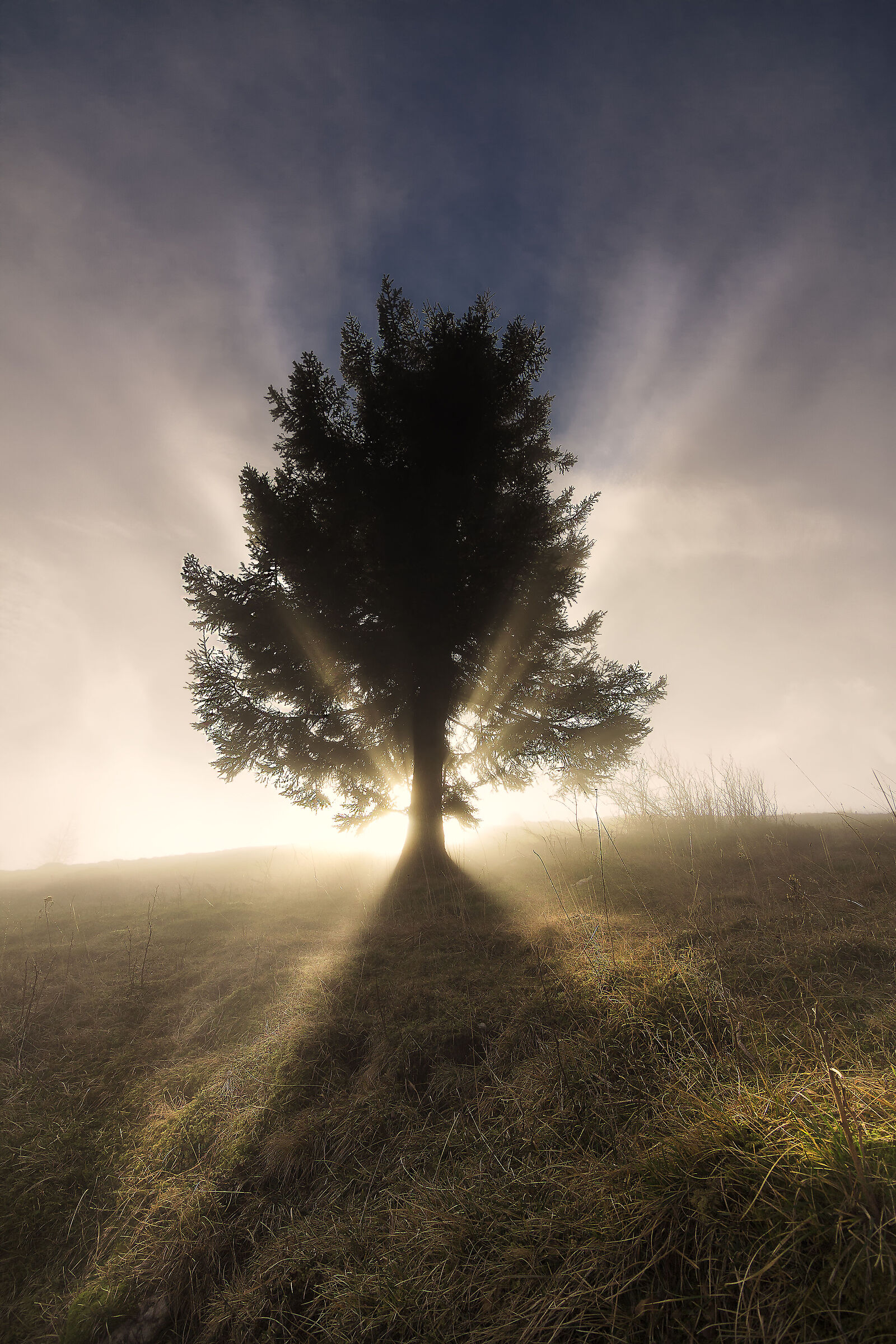 nebbia