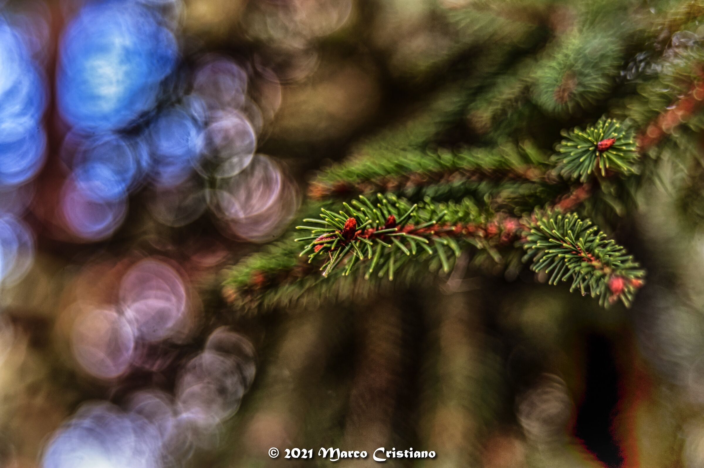 Miracle in the grass.. 2