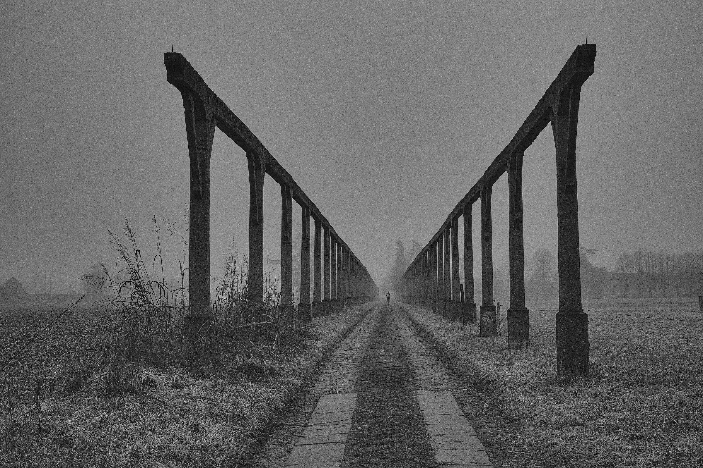 Correndo tra le rovine