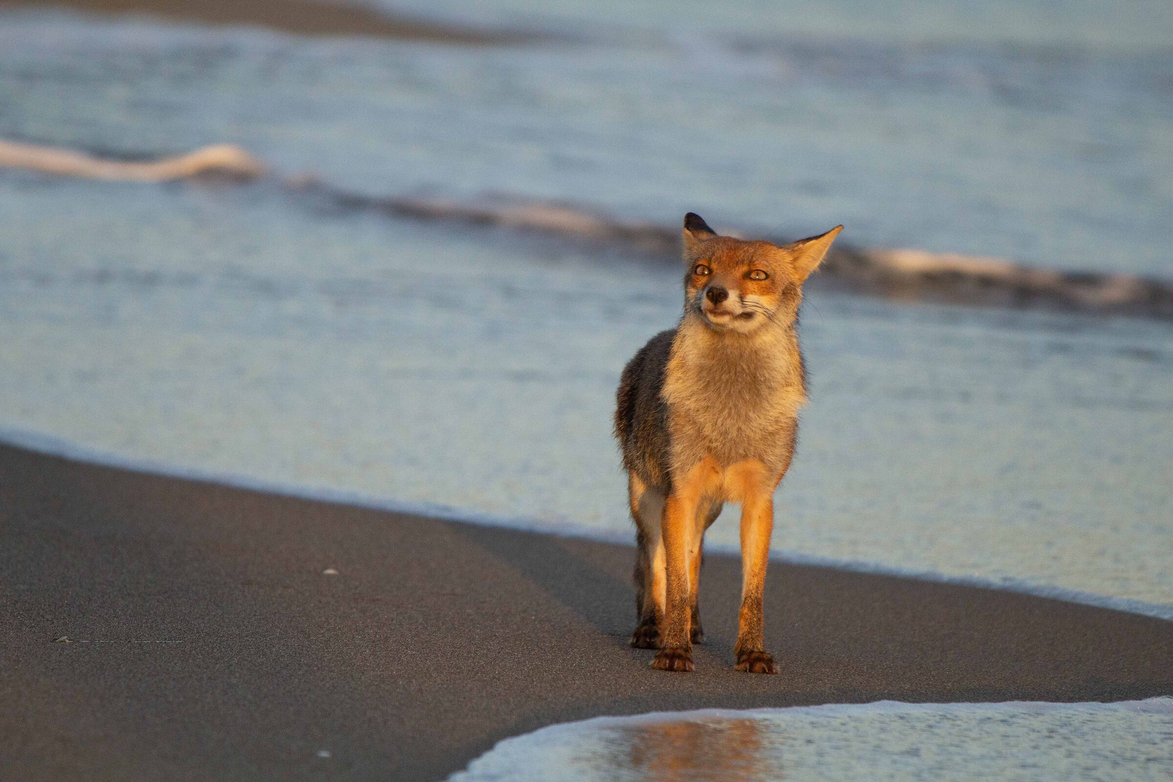 A walk on the shore to breathe the sea air