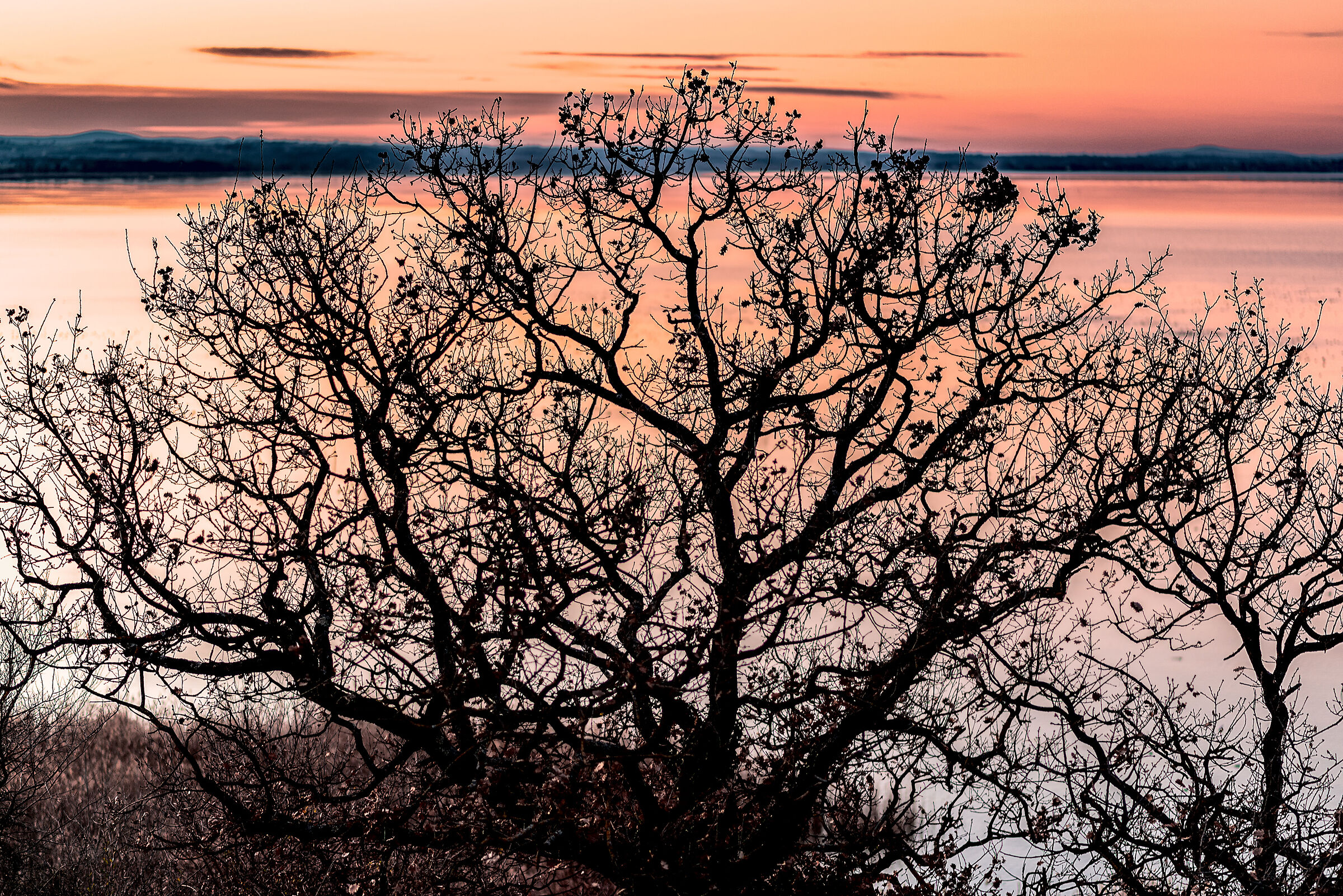ultimo tramonto al trasimeno...2 mesi fa'