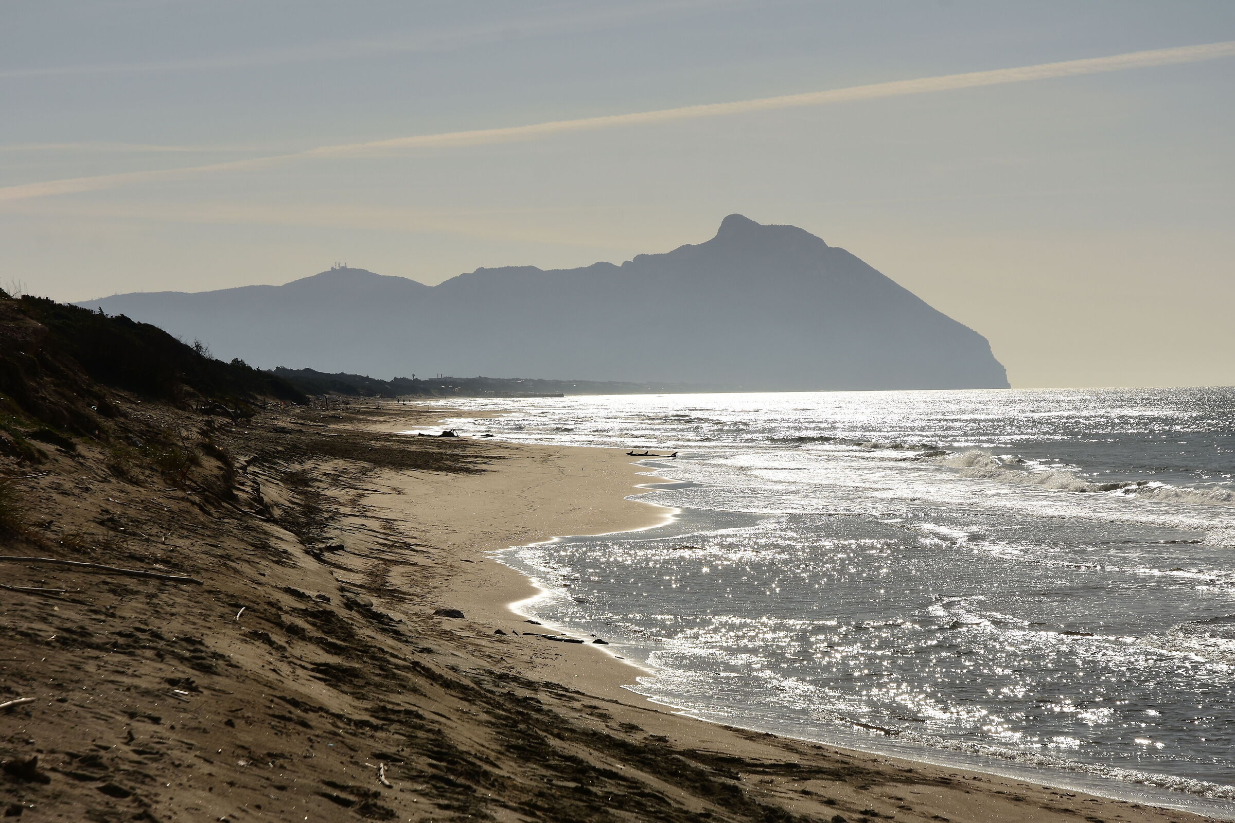 Spiaggia di Sabaudia (lt) con sfondo del monte Circeo
