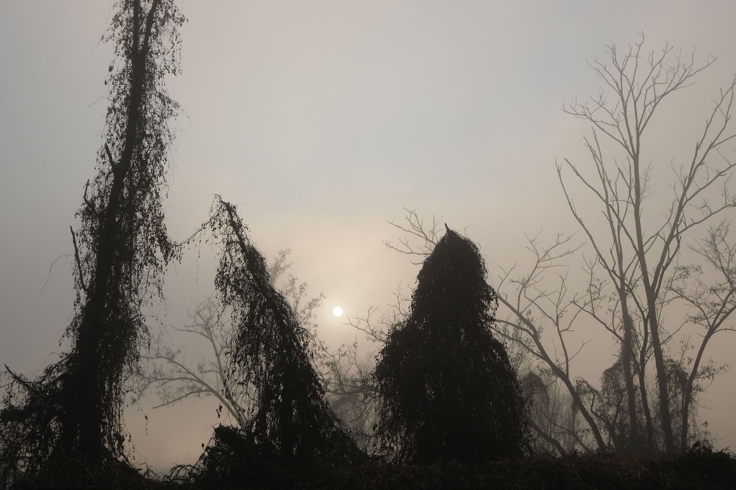 Ruins of another world