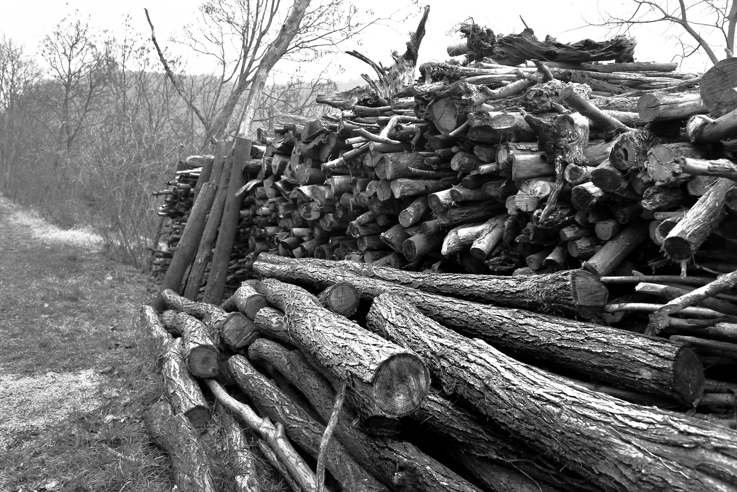 Black and white experiments