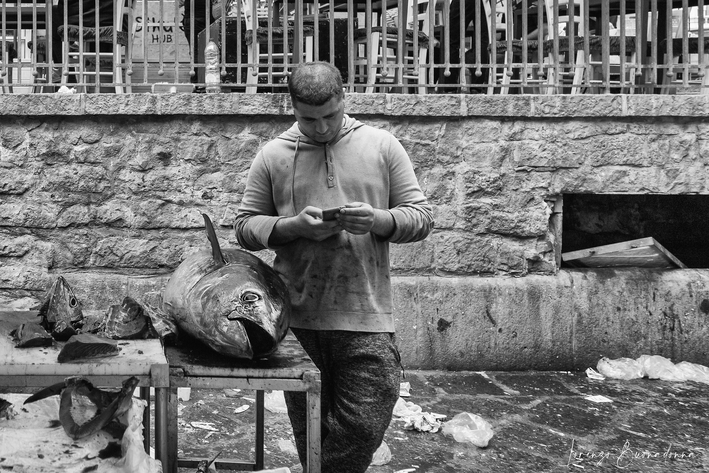 Smartphone and Tuna