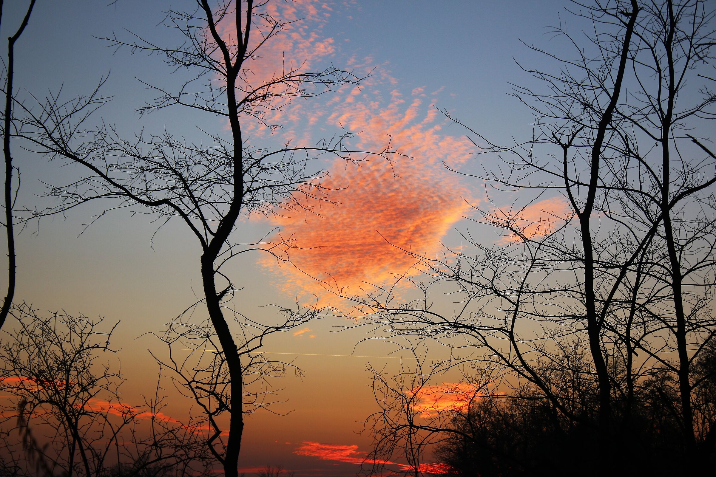 Untitled Photo