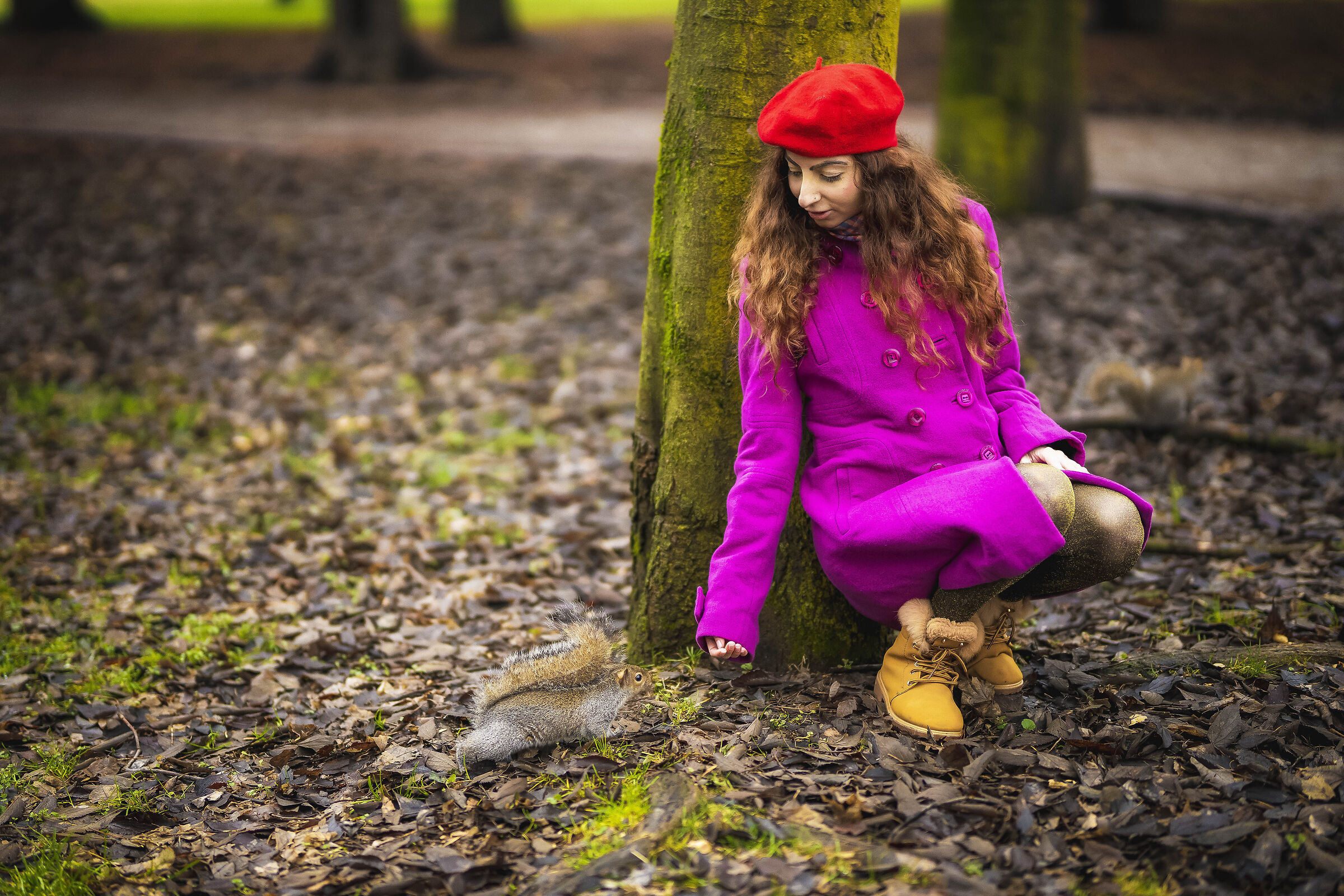 Lo scoiattolo curioso