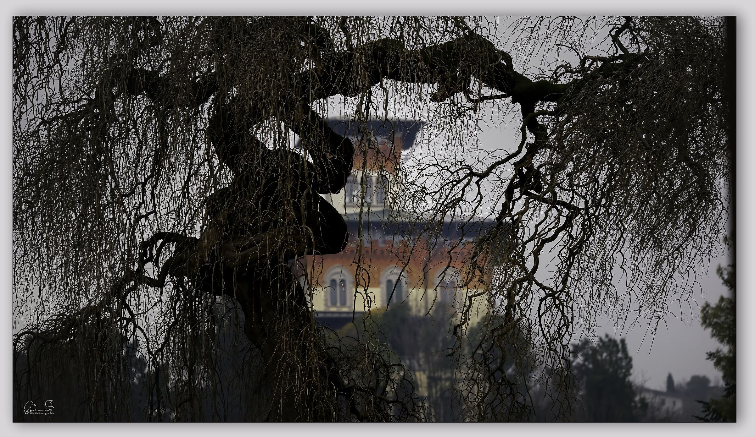 Villa Moretti
