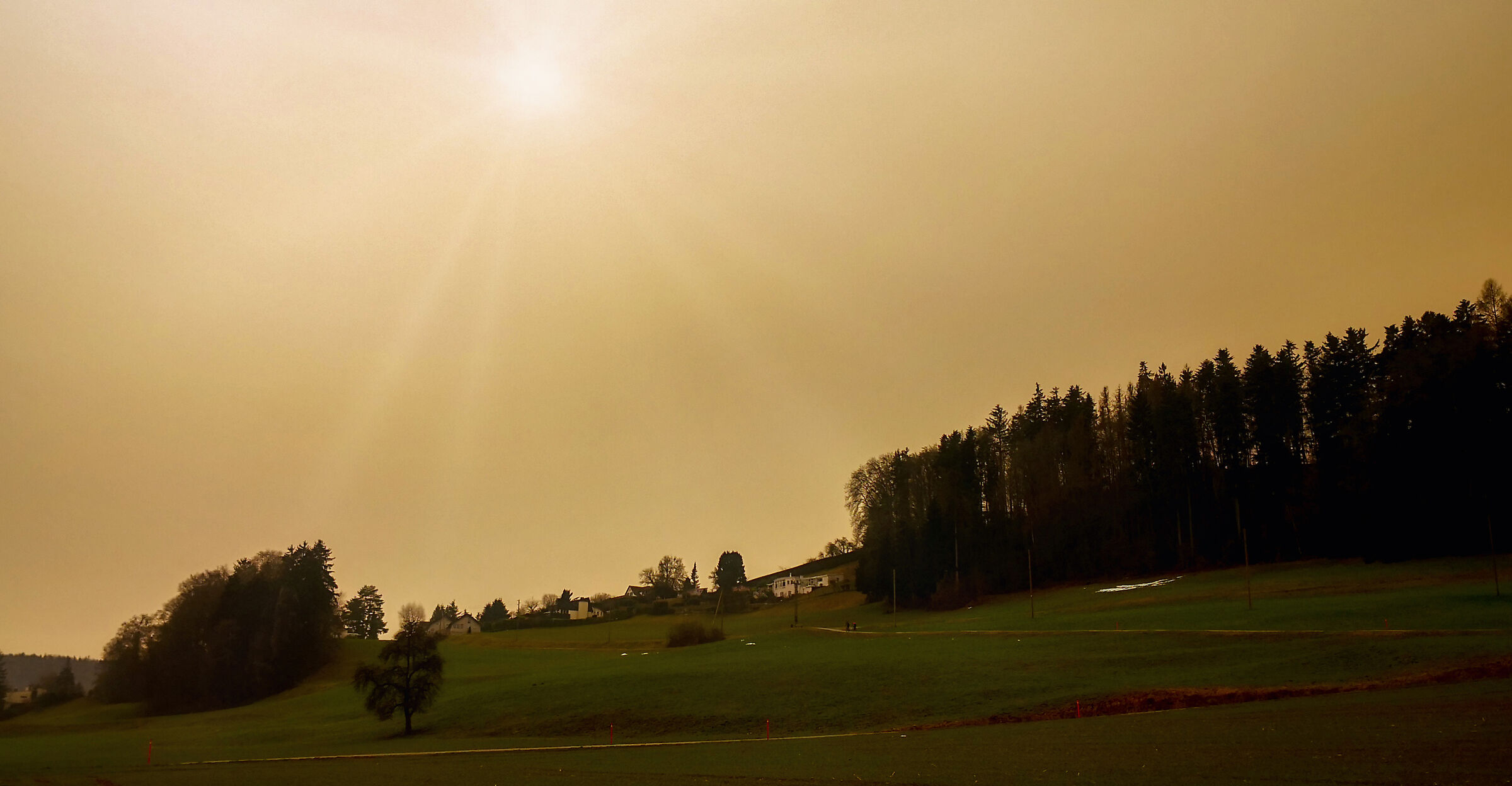 Sahara in Svizzera
