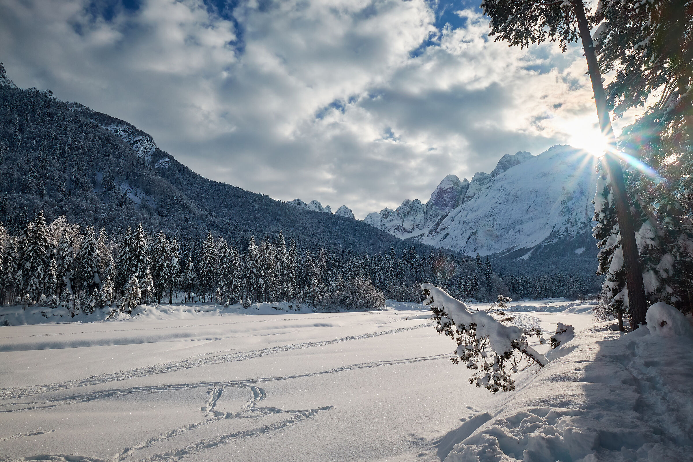 Neve in Val Saisera