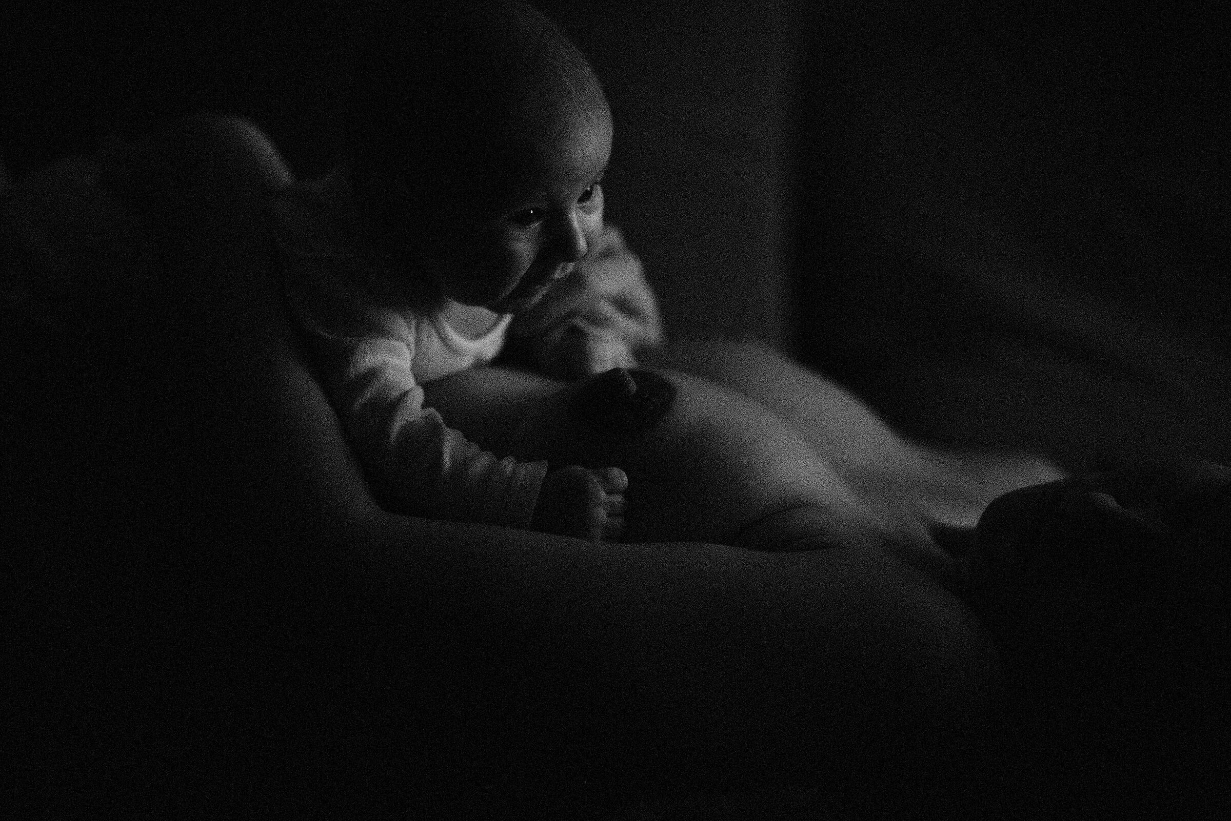 Pentax K-1 + DFA 85/1.4 + Michael 2 mesi