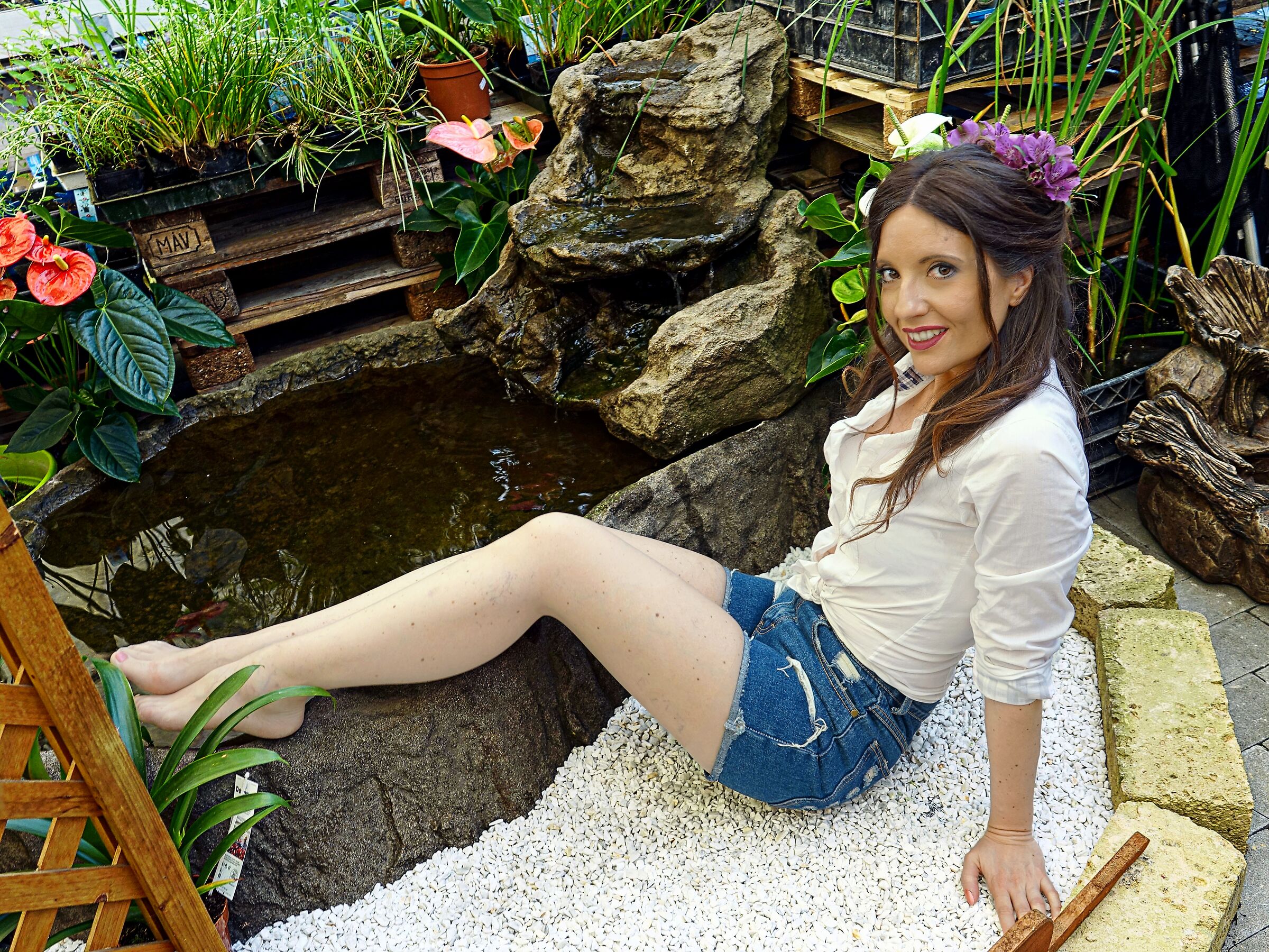 Romina Garden Orchid