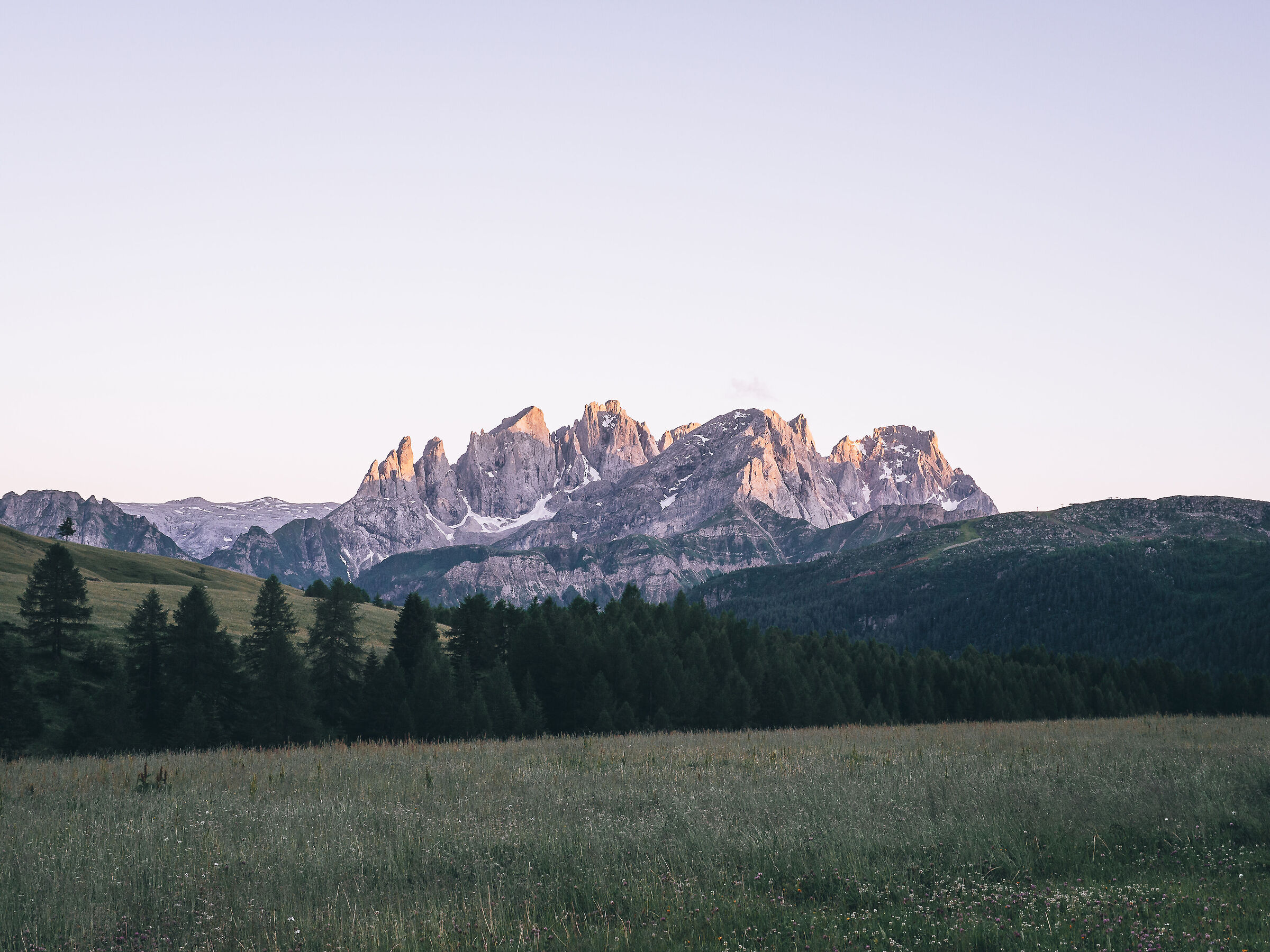 Pale di San Martino - Summer