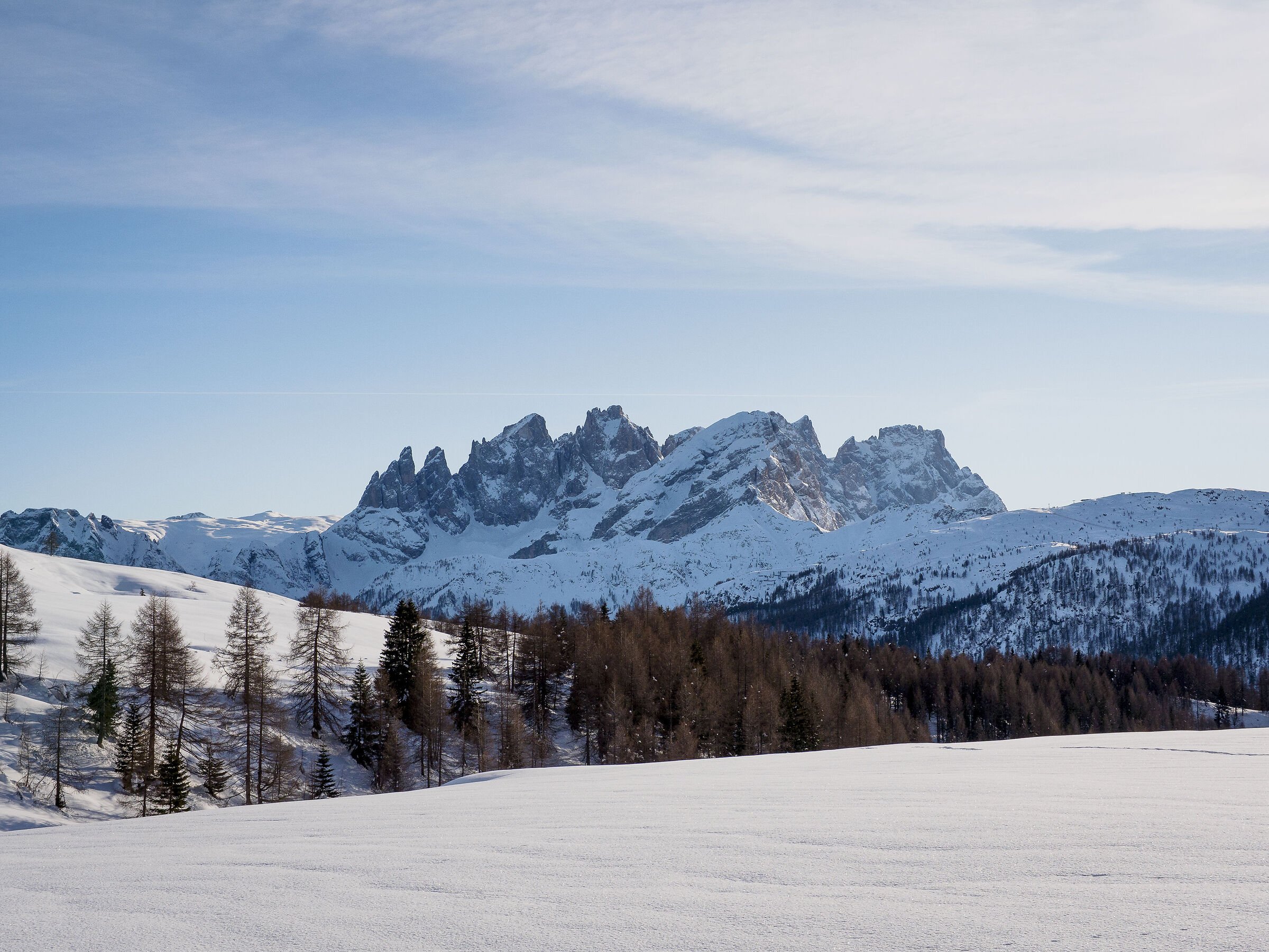 Pale di San Martino - Inverno