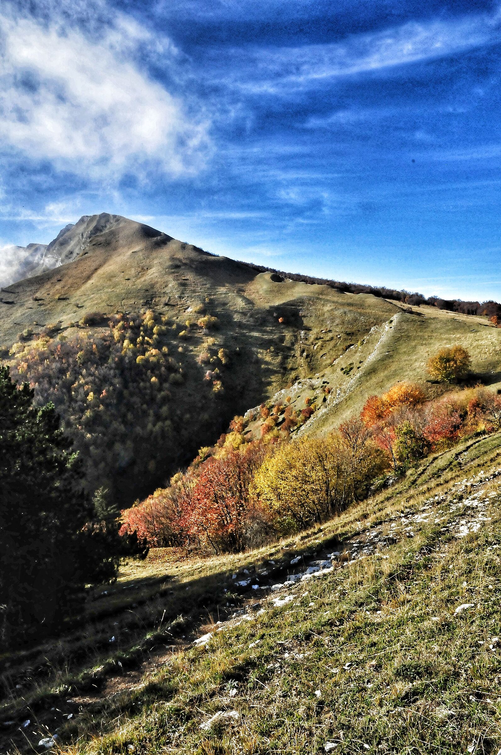 Monti Sibillini
