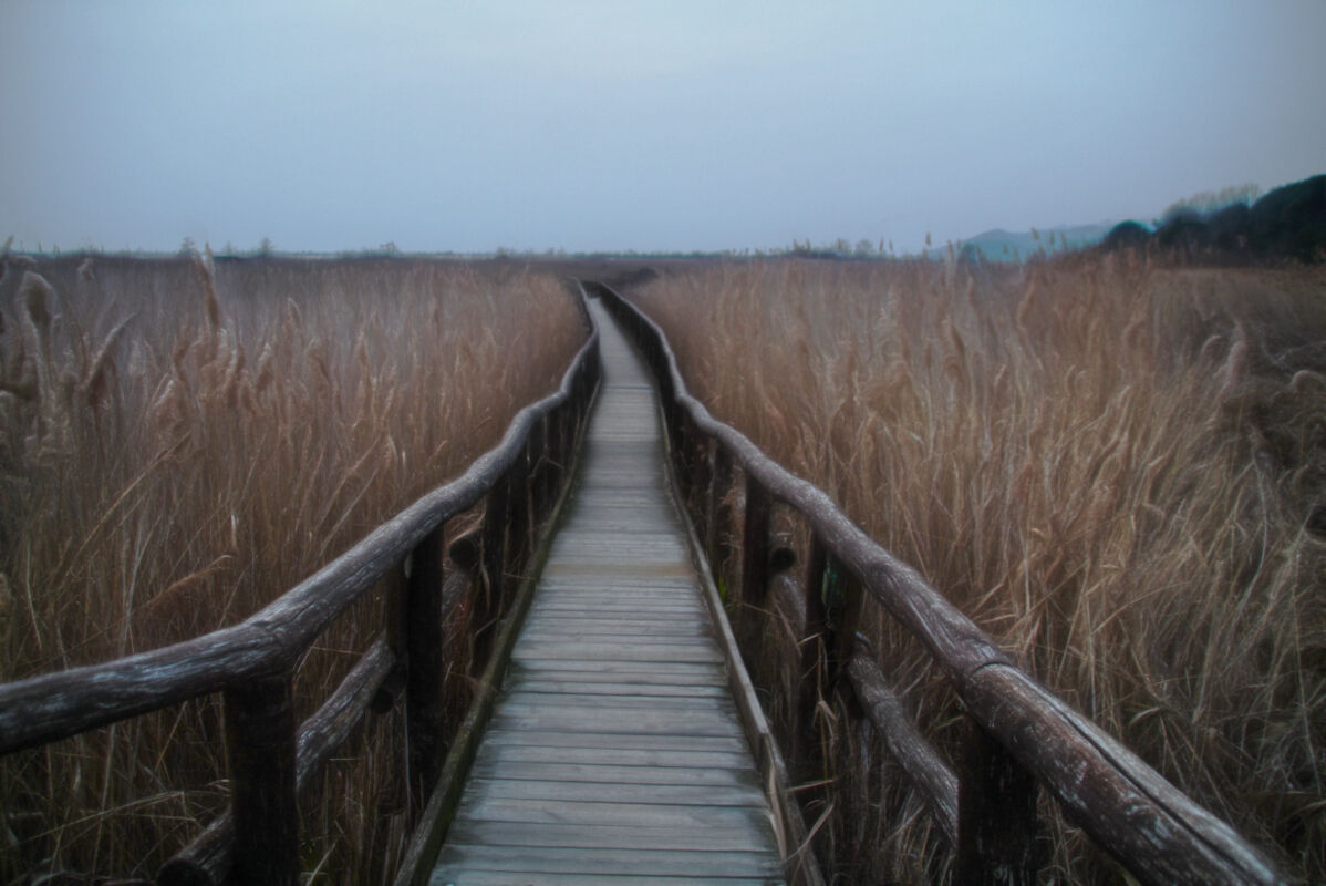 Lake Massaciuccoli, at sunset