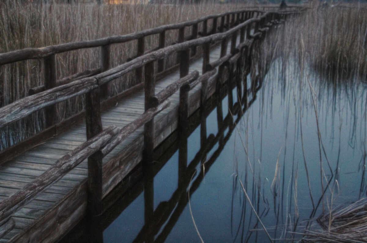Lake Massaciuccoli, at sunset