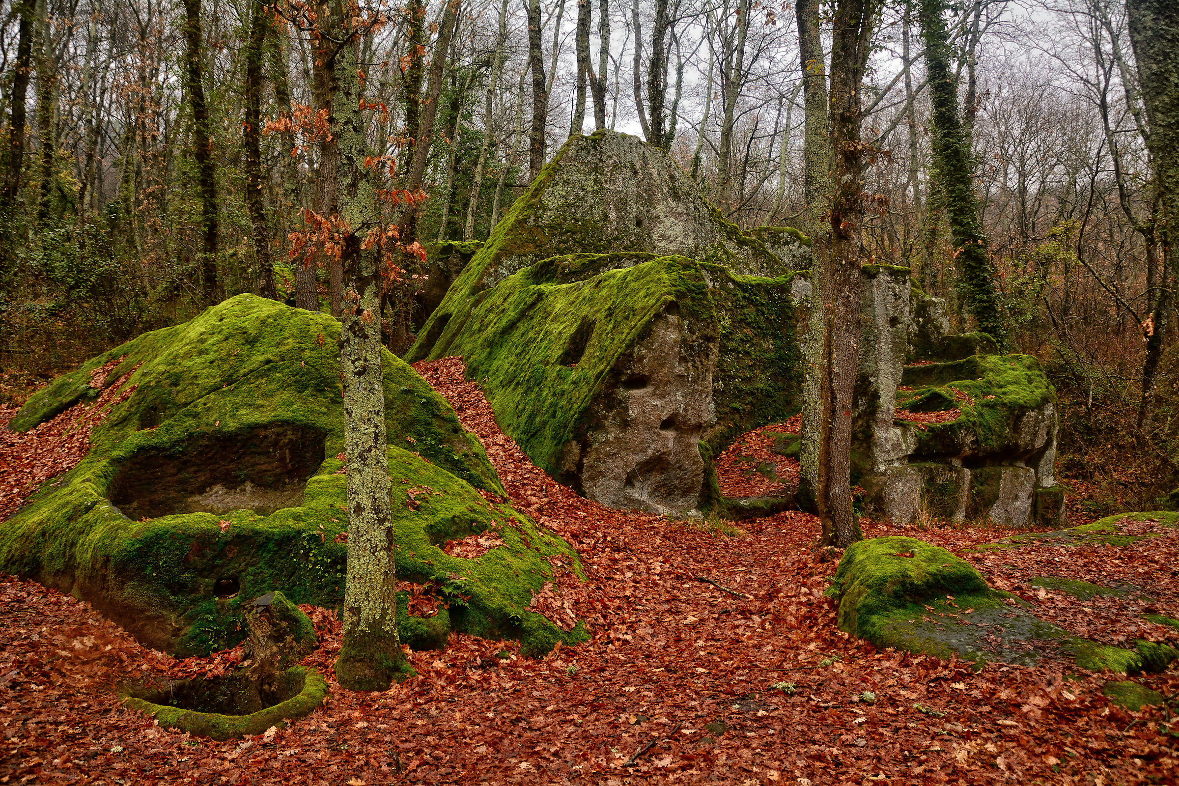 Necropoli di Santa Cecilia