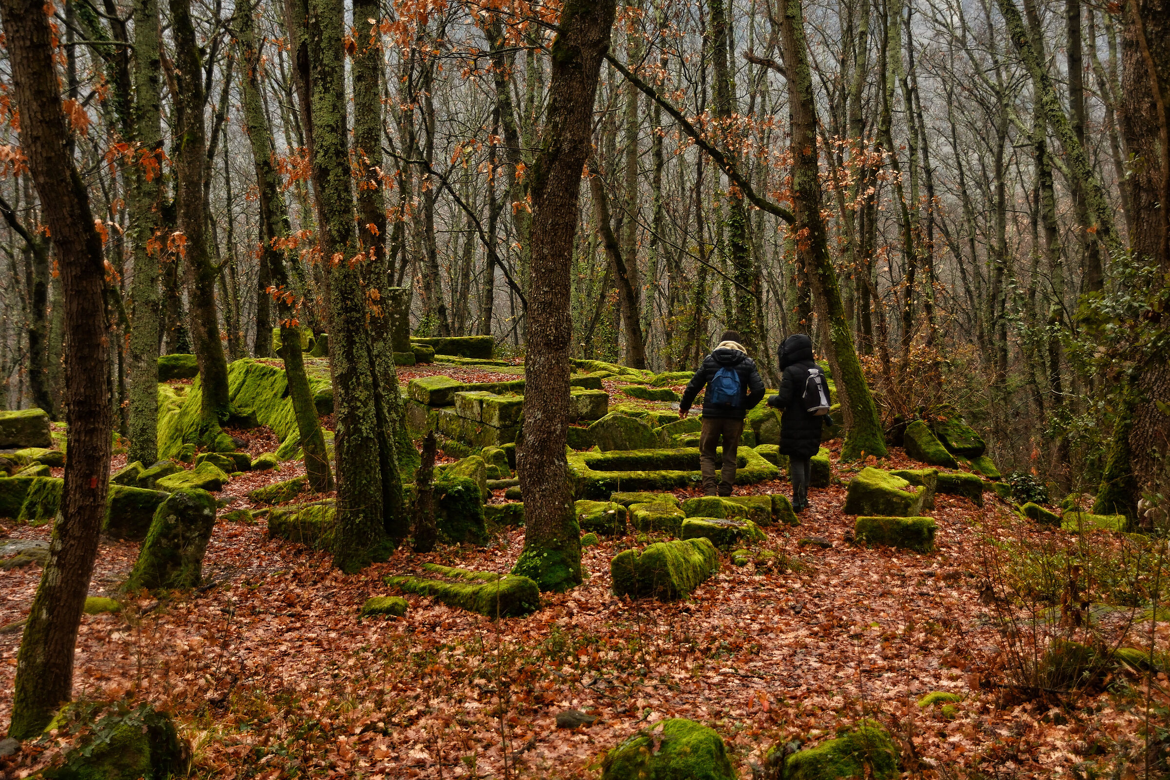Alla scoperta della necropoli di Santa Cecilia
