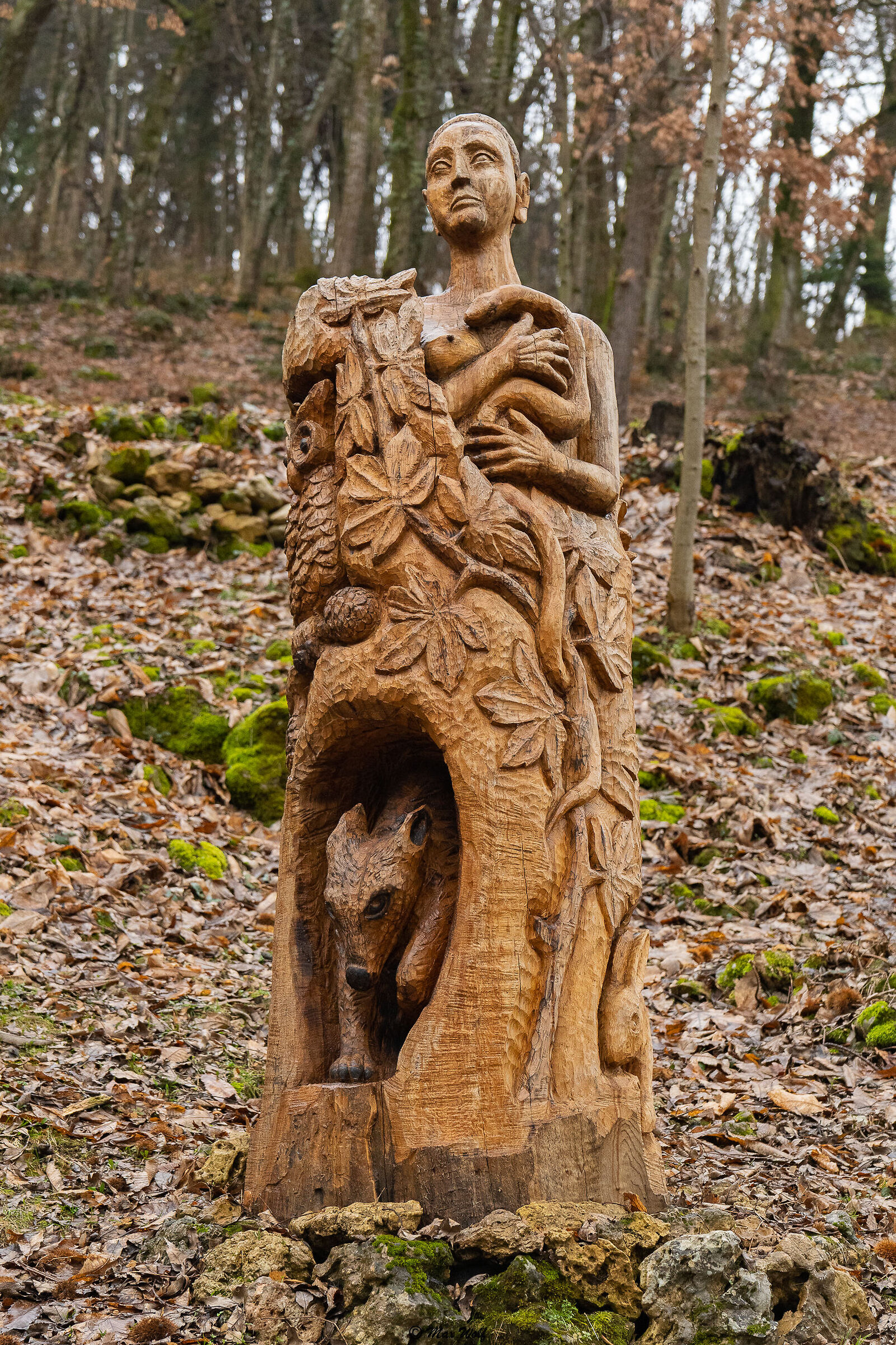 Wood sculpture 7