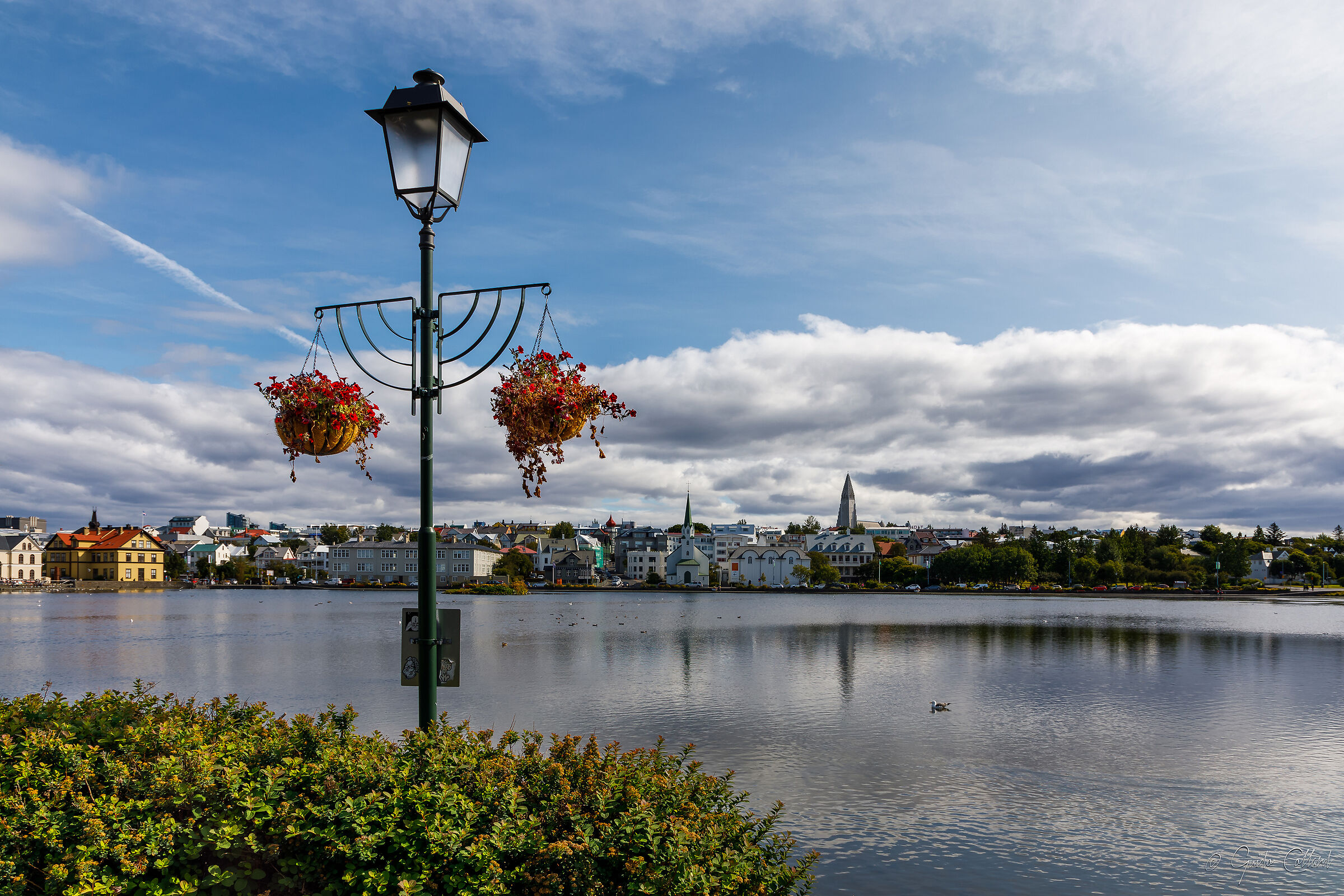 Reykjavík - Lake Tjörnin