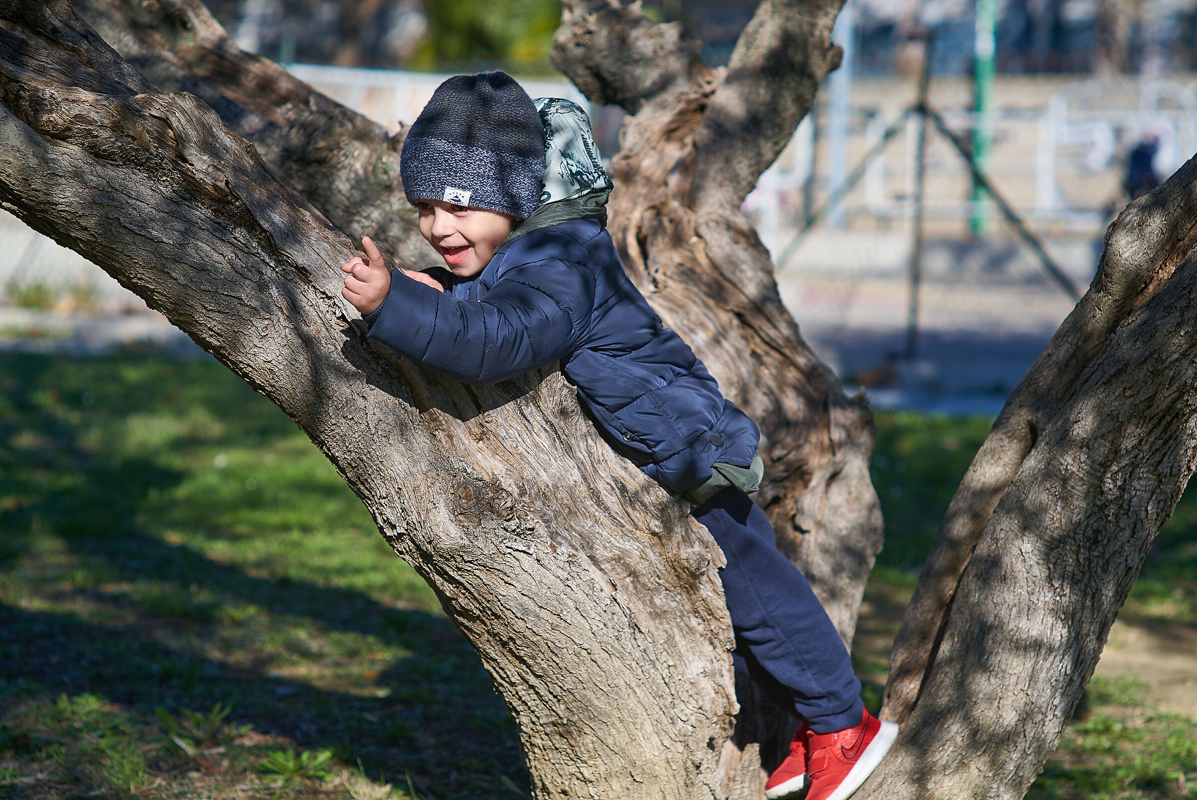 Martin hurrah for nature