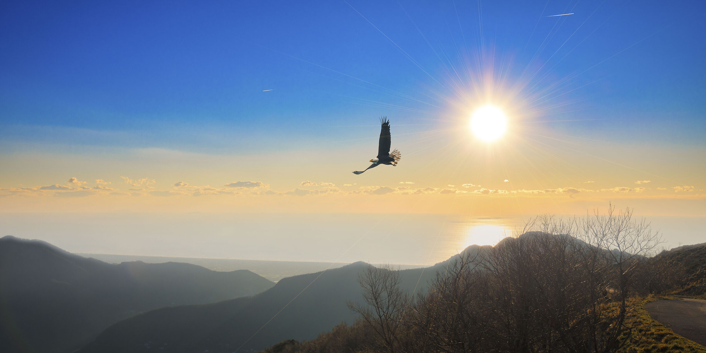 A Apuan eagle