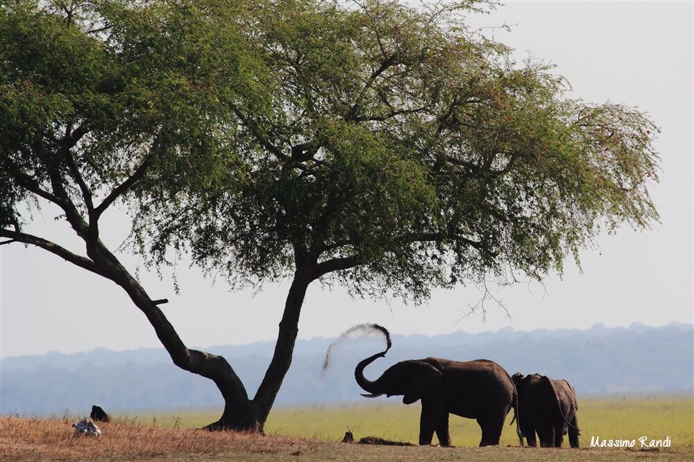Lago Katavi, Katavi NP - Tanzania