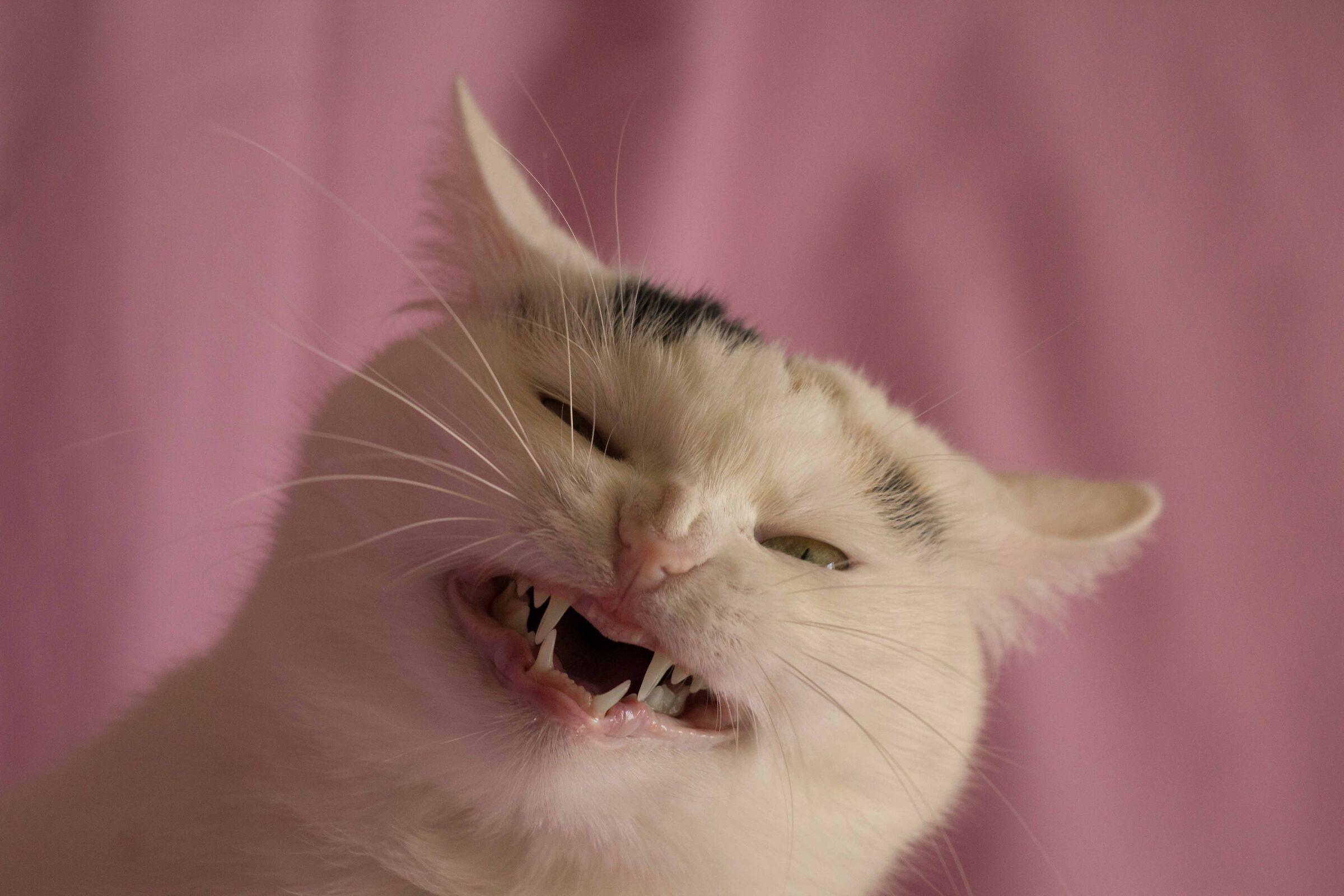 The most beautiful smile!