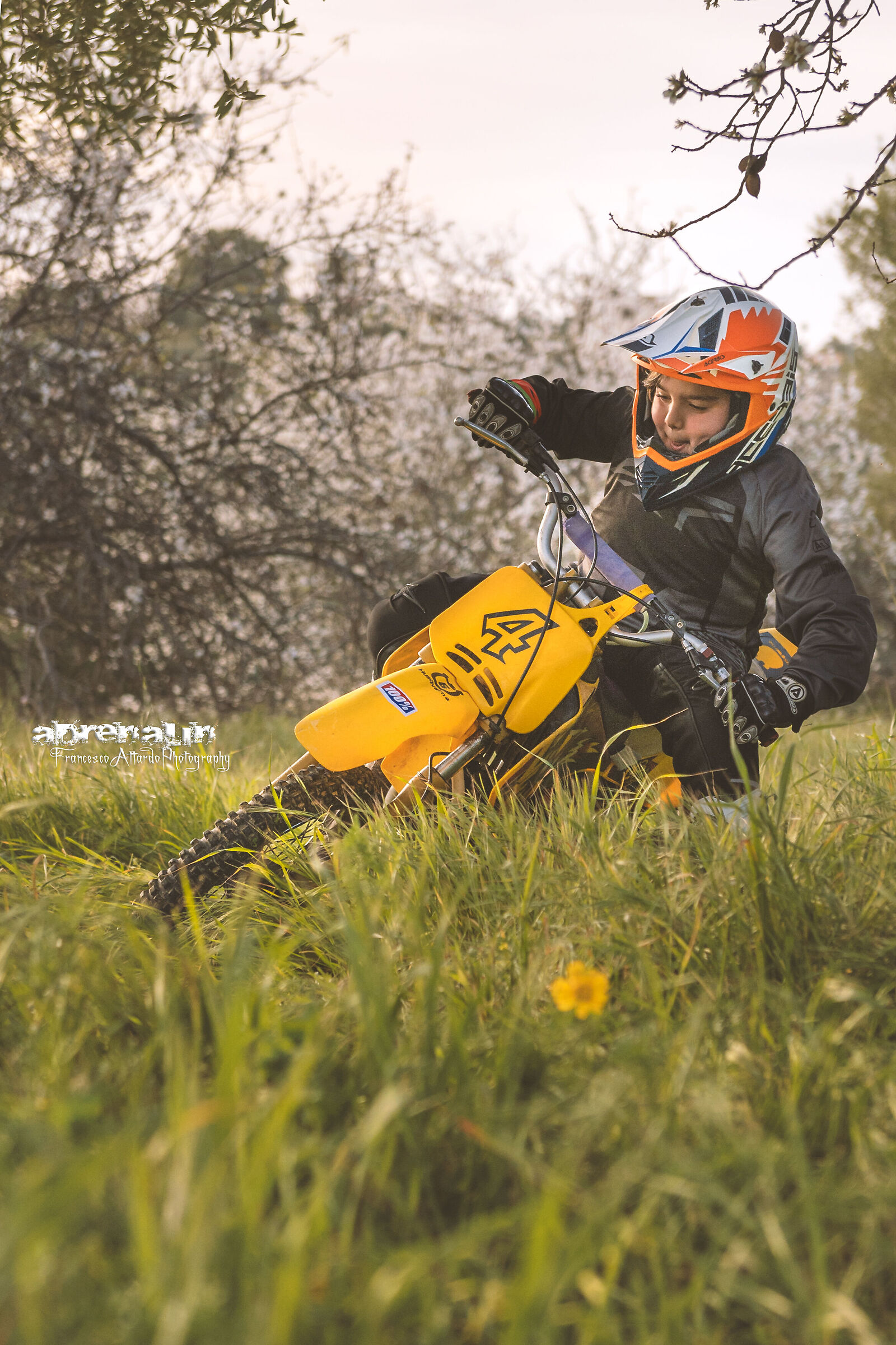 Small Bikers Grow Up