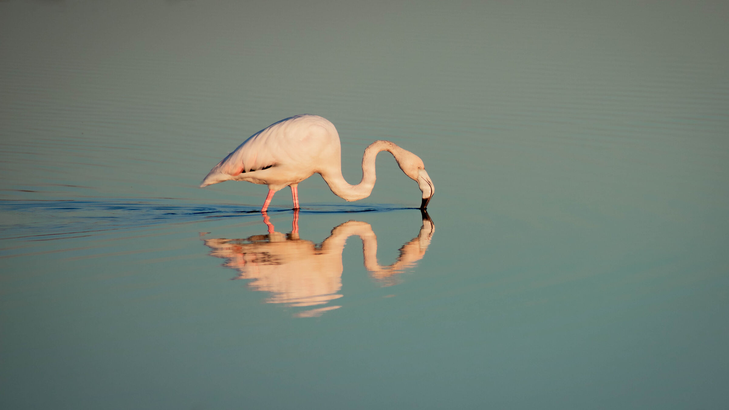 La riflessione del mattino