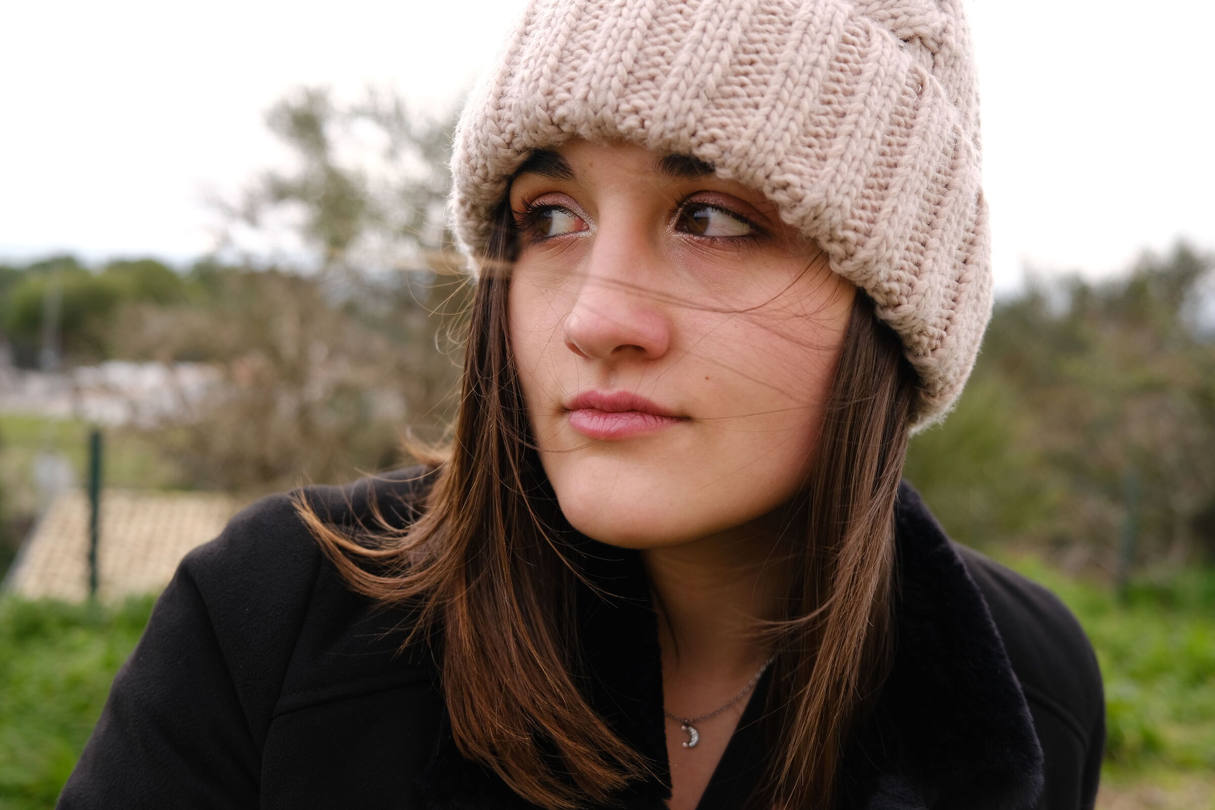 Early approaches - Fuji in Fuji 2