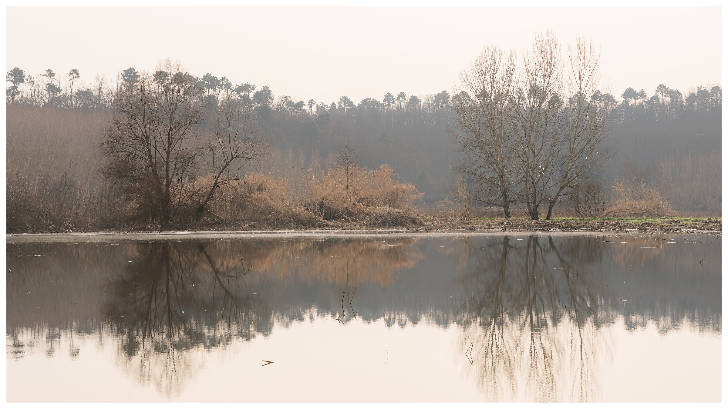 Padule Fucecchio - Febbraio 2021