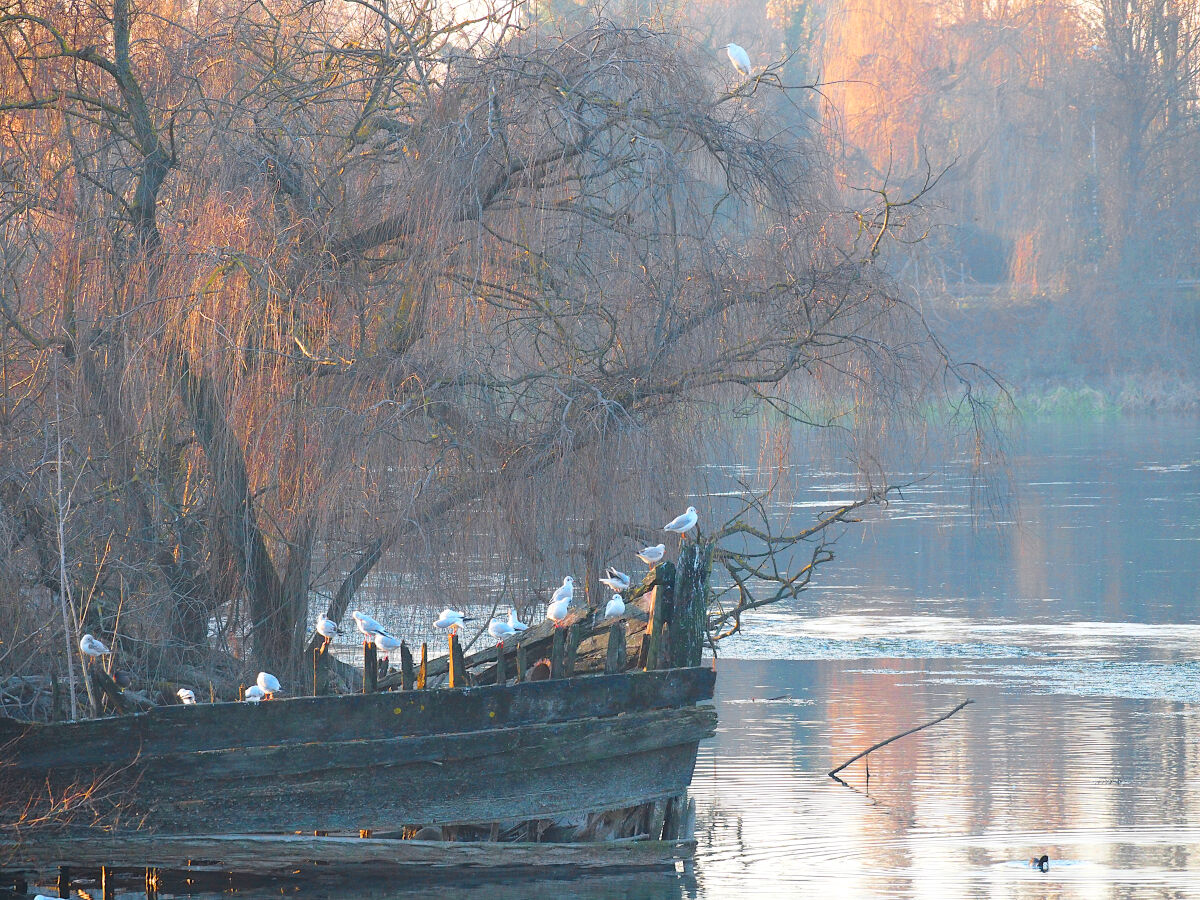 All'arrembaggio miei prodi....!!