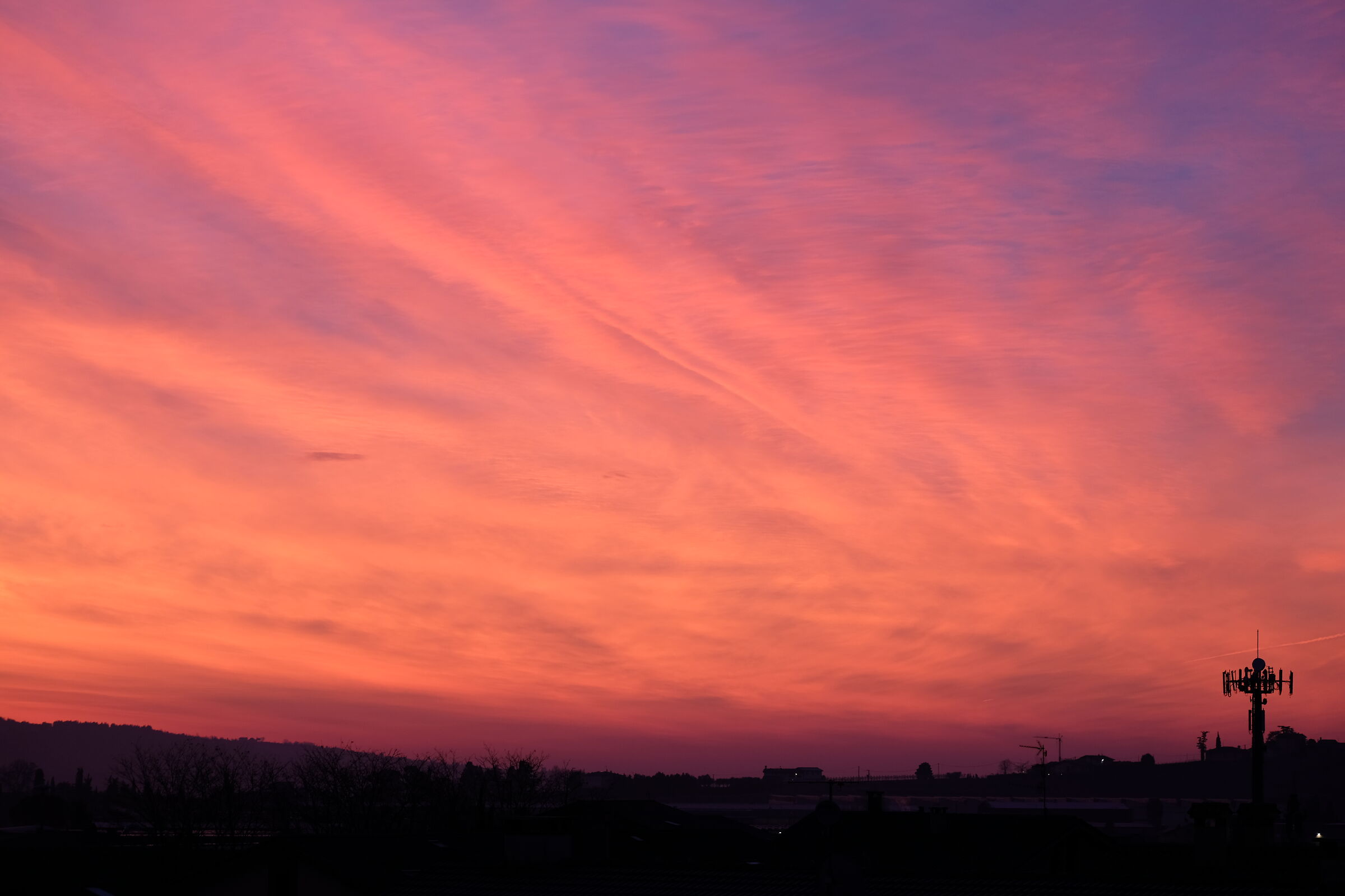 Alba in Valpolicella