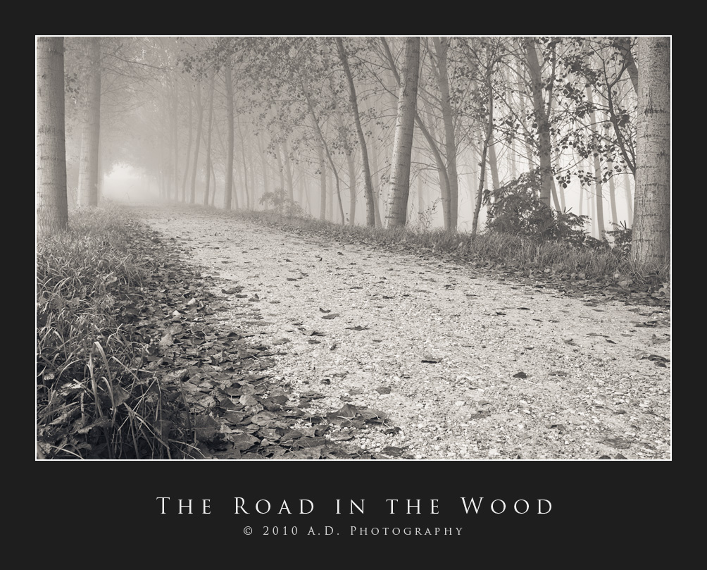 The Road in the Wood