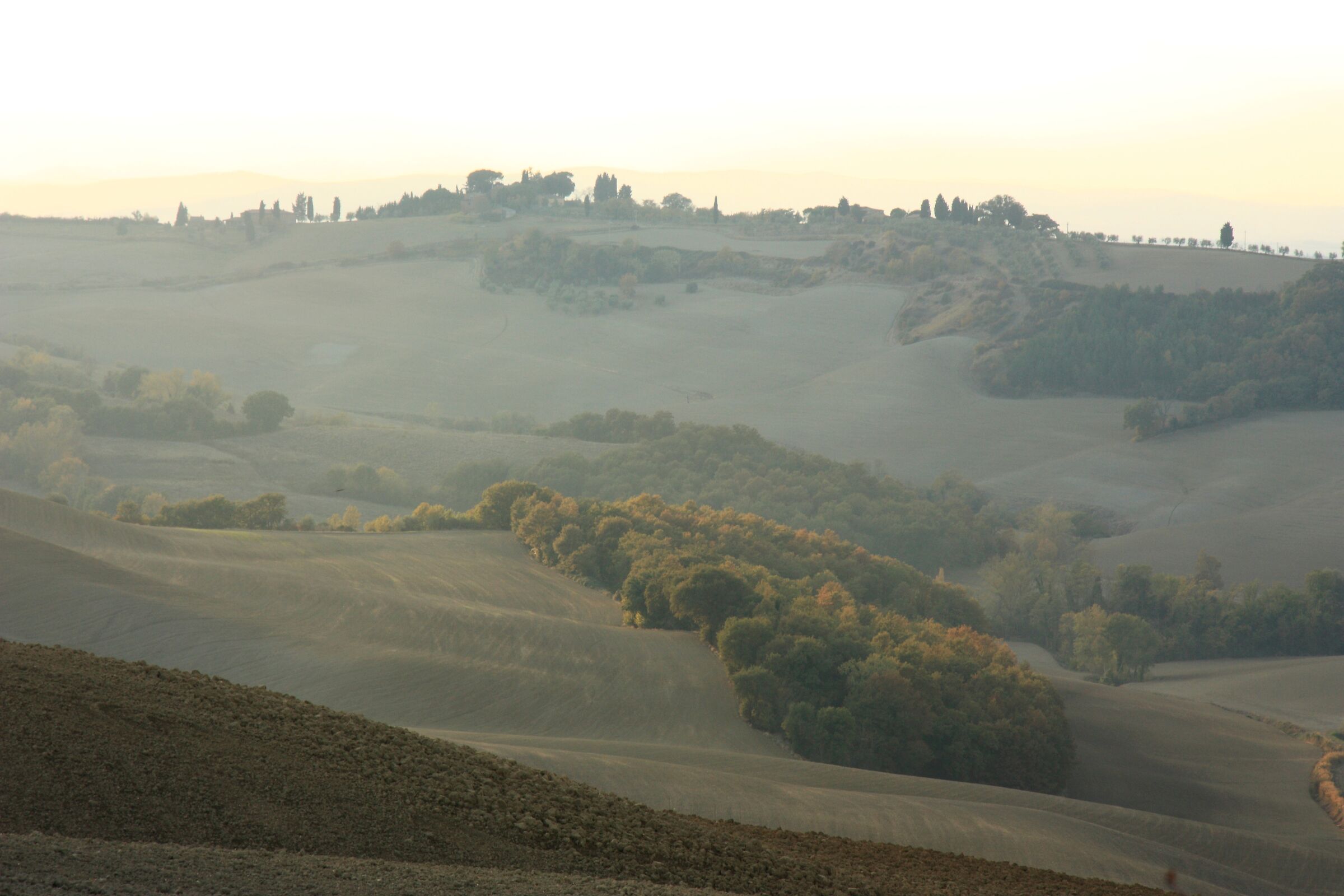 Crete Senesi